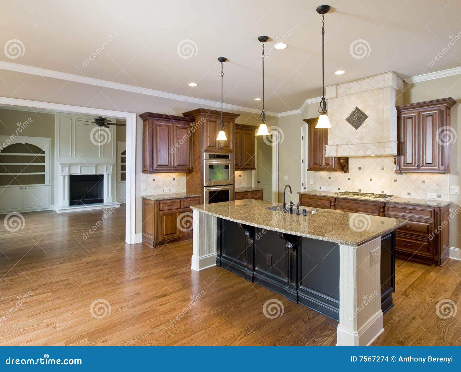 Cocina Y Sala De Estar Interiores Caseras De Lujo Foto de archivo