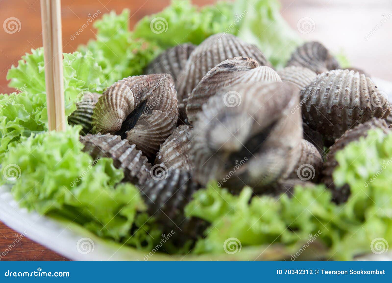 Cockles stock photo. Image of aquatic, gourmet, crustacean 70342312