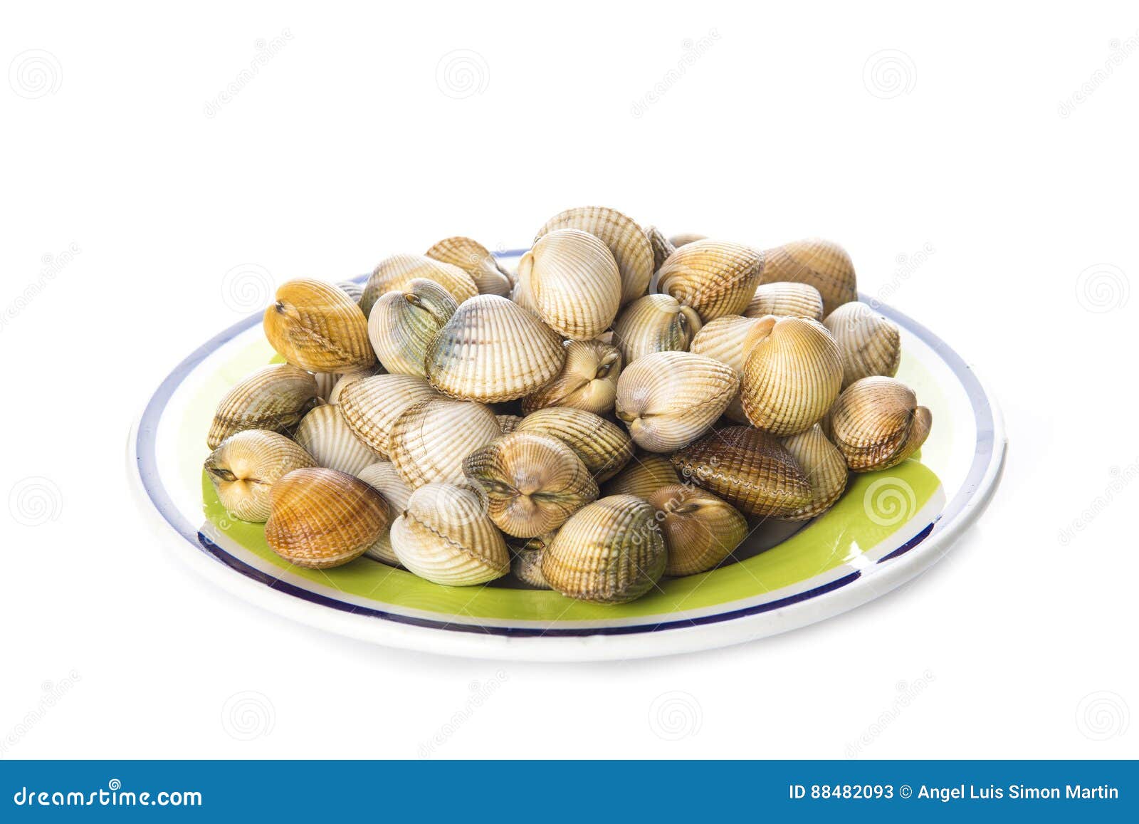 Cockles Isolated on a White Background Stock Image Image of edible