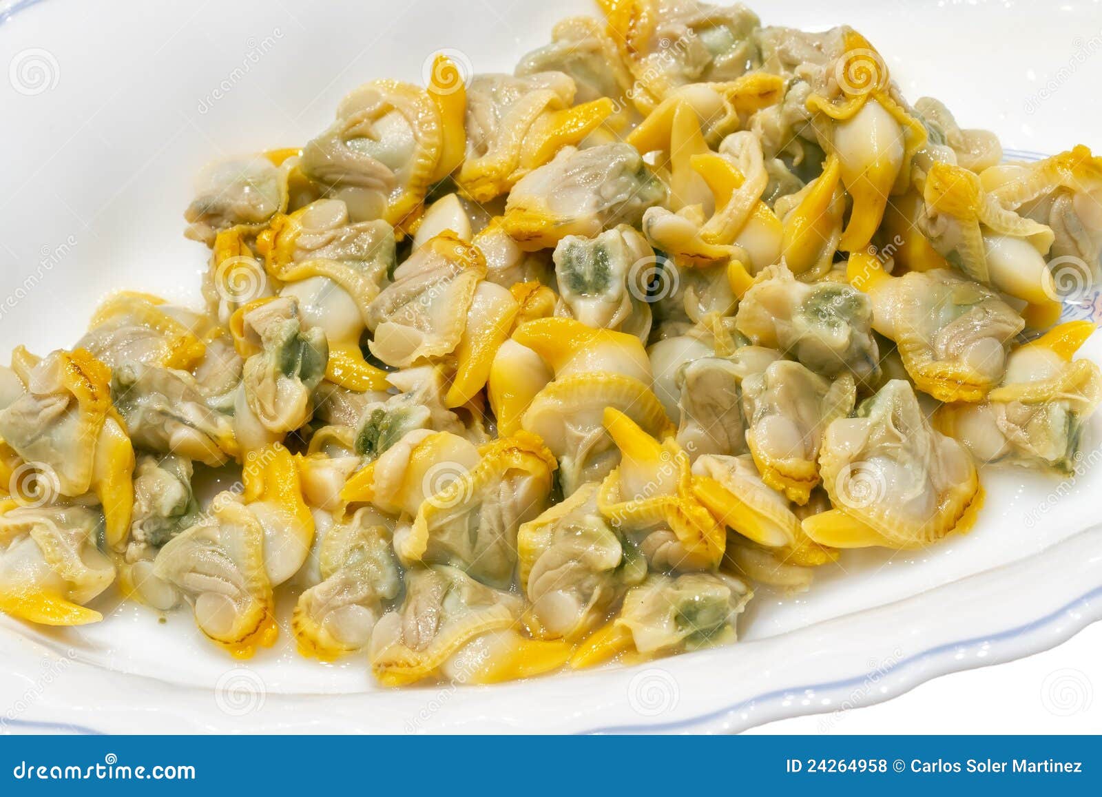 Cockles natural stock photo. Image of appetizer, aquatic 24264958