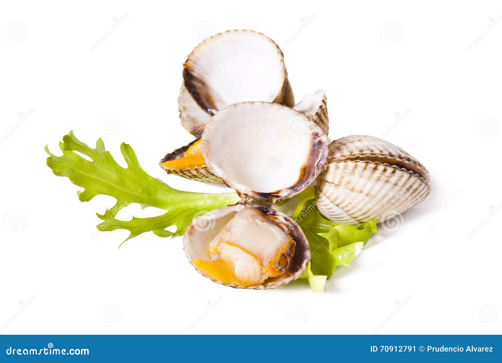 Cockles stock image. Image of shells, shellfish, cockles 70912791
