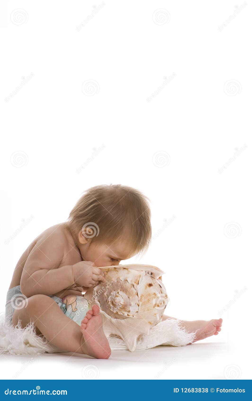 Cockleshell stock photo. Image of little, mobile, cockleshell 12683838