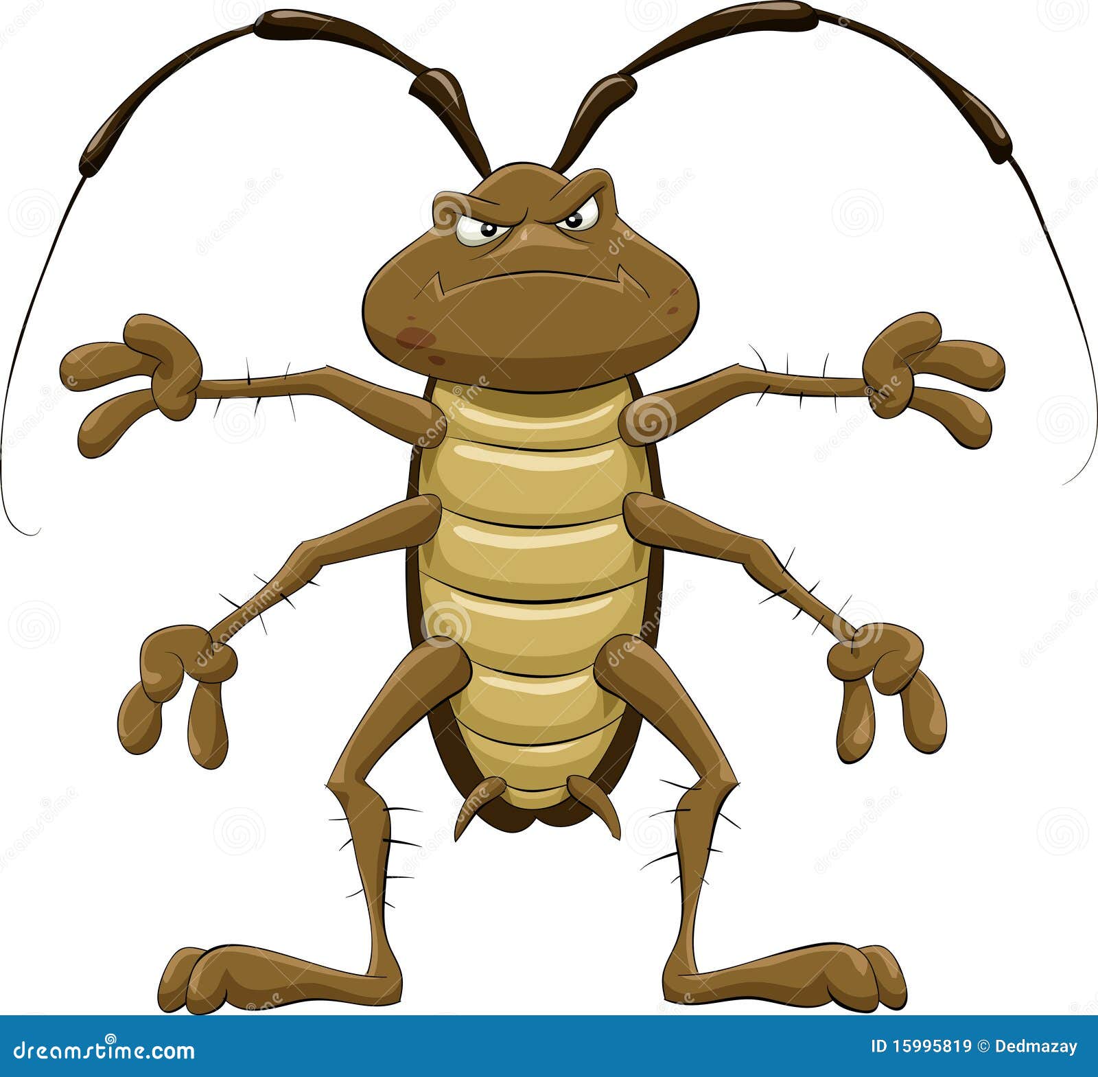 Cockroach stock vector. Illustration of brown, pest, animal - 15995819