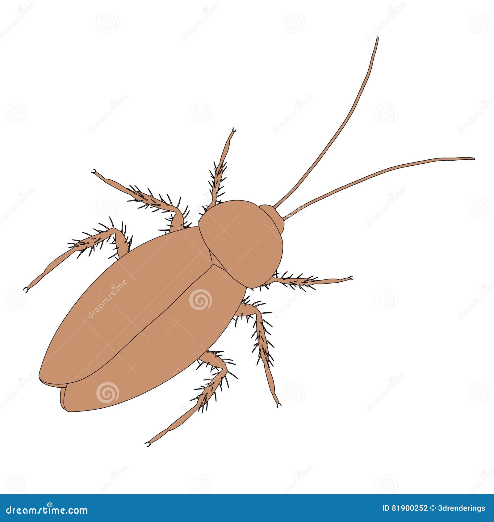 Cockroach stock illustration. Illustration of home, insect - 81900252