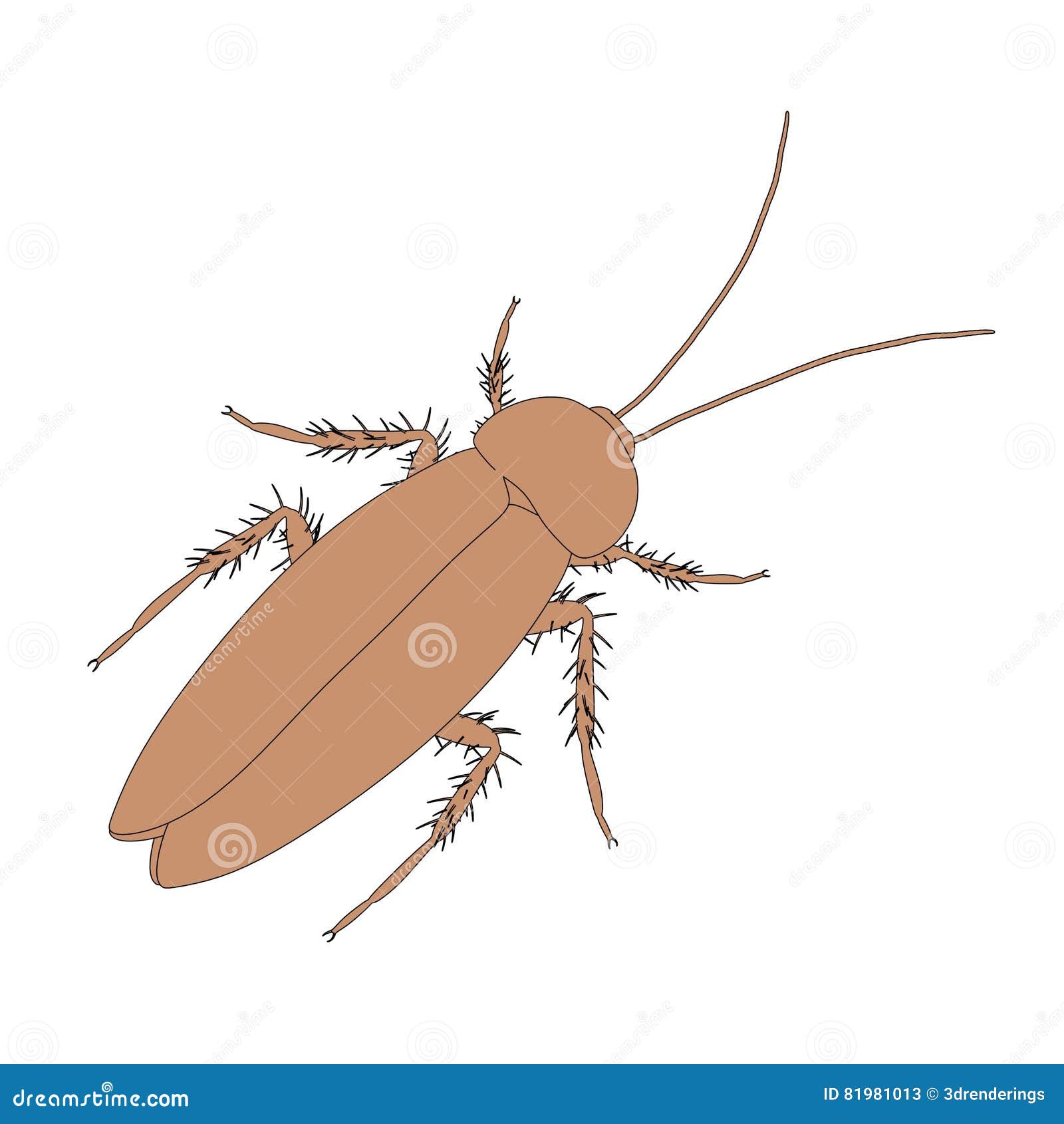 Cockroach stock illustration. Illustration of insect - 81981013