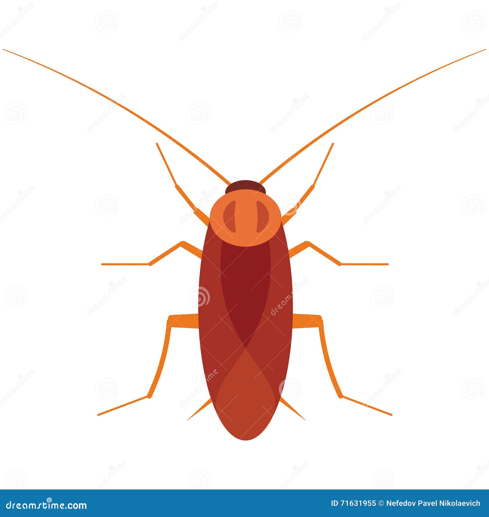 Cockroach illustration. stock illustration. Illustration of body - 71631955