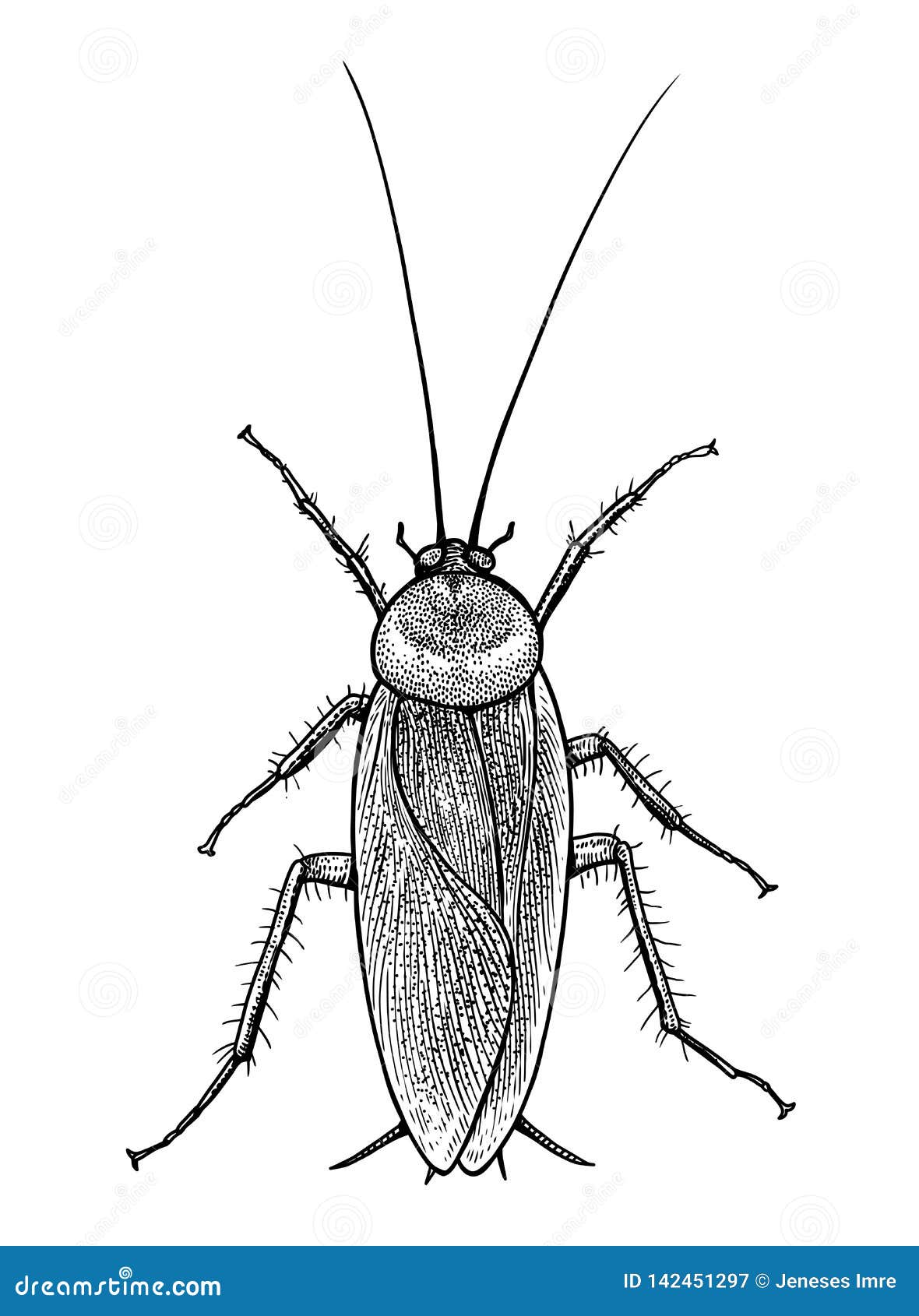 Discover more than 67 cockroach sketch super hot - seven.edu.vn