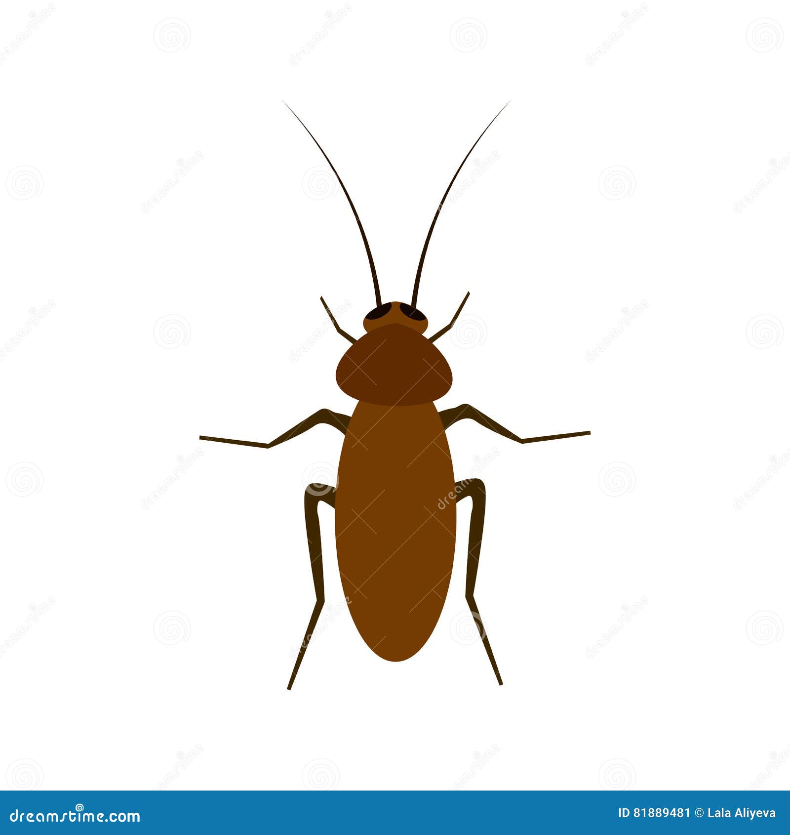 Cockroach Illustration On A White Background Stock Illustration ...