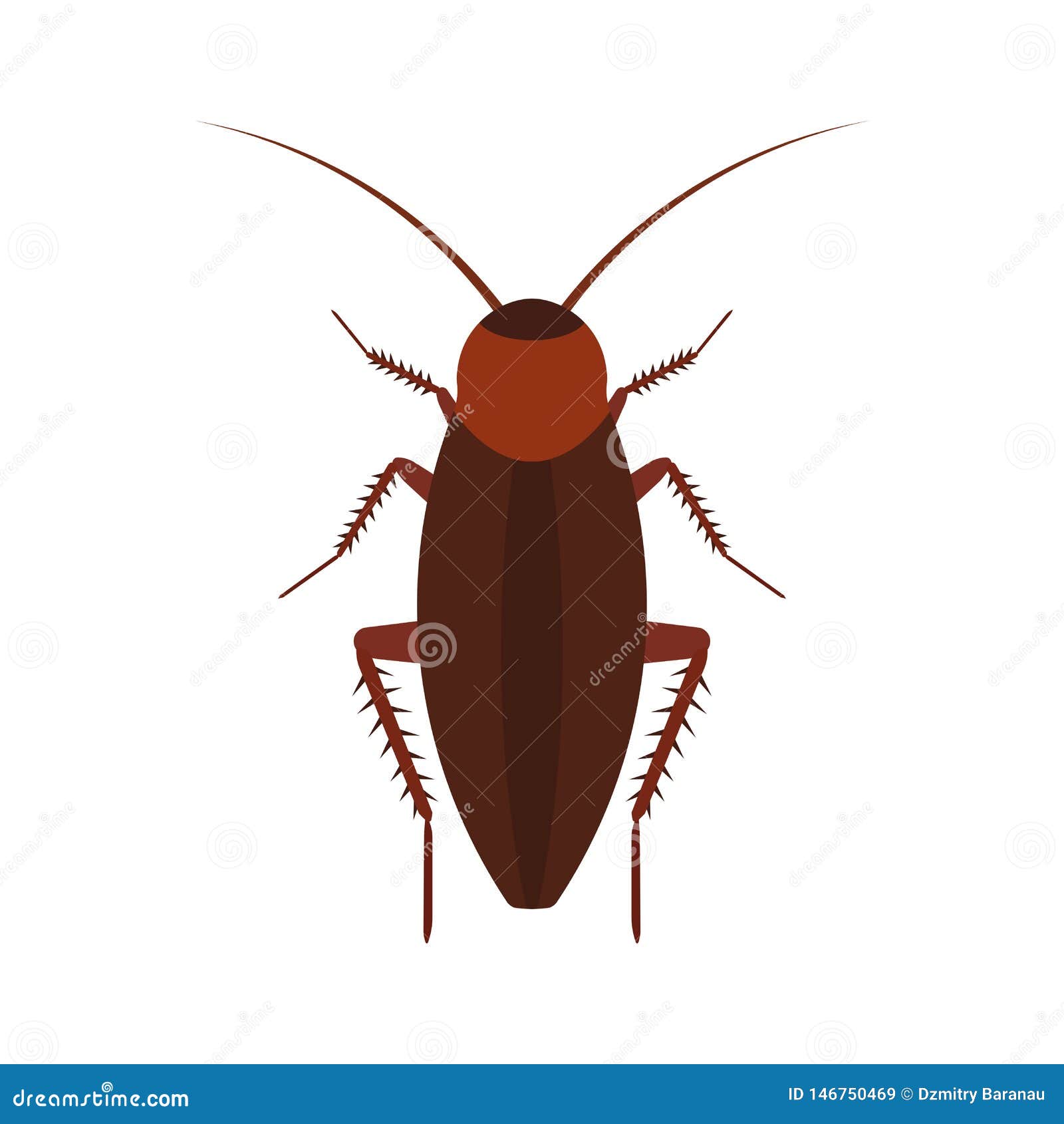 Cockroach Insect Vector Icon Above Pest. Brown Animal Top View Cartoon Bug  Stock Vector - Illustration of fear, danger: 146750469