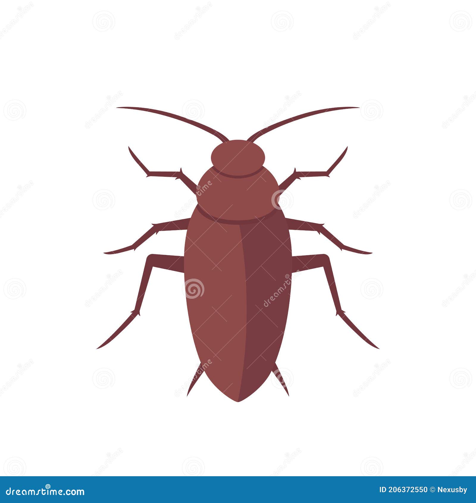 Cockroach, Roach Isolated on White, Vector Art Stock Illustration ...