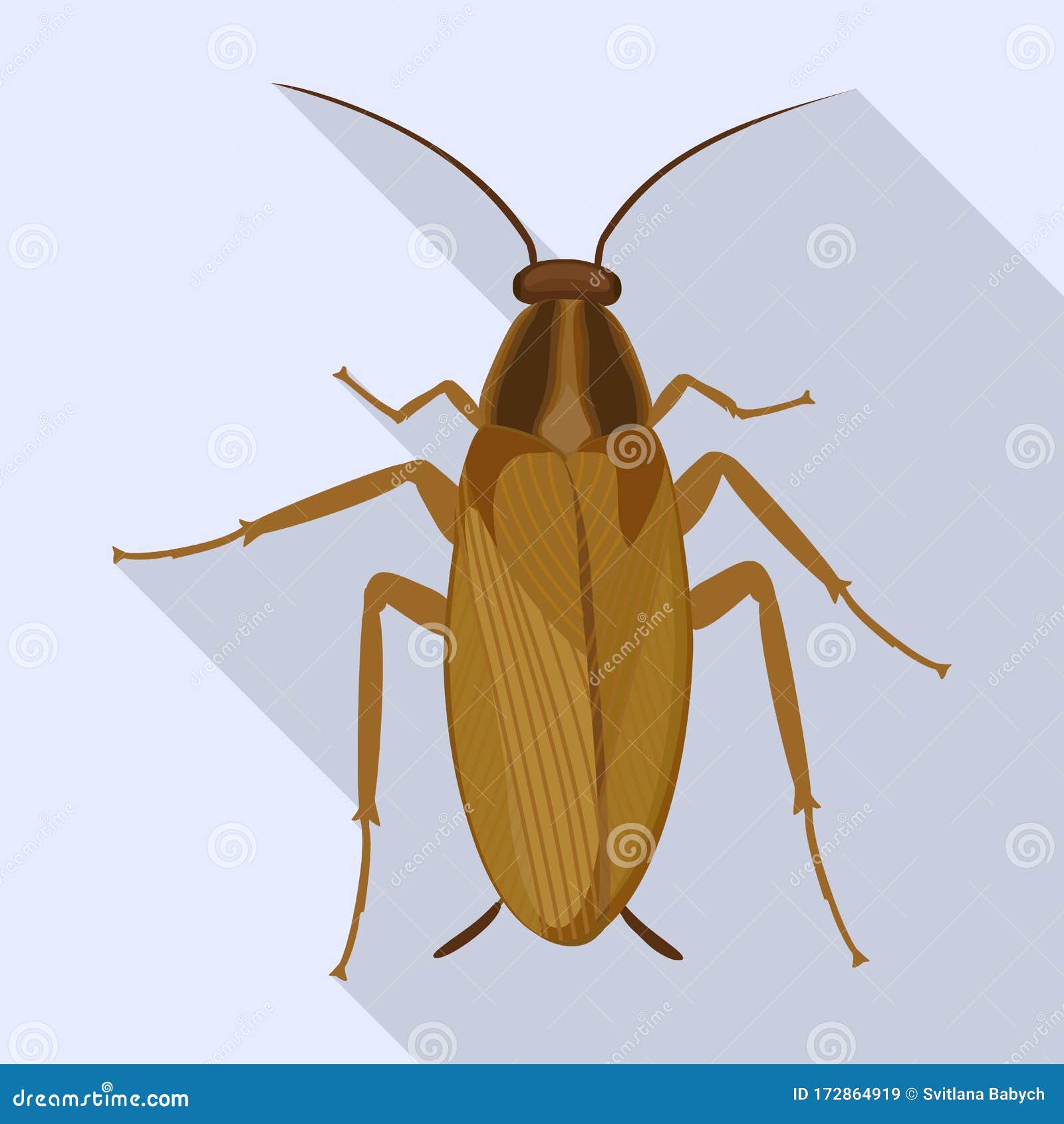 Cockroach Vector Icon.Flat Vector Icon Isolated on White Background ...