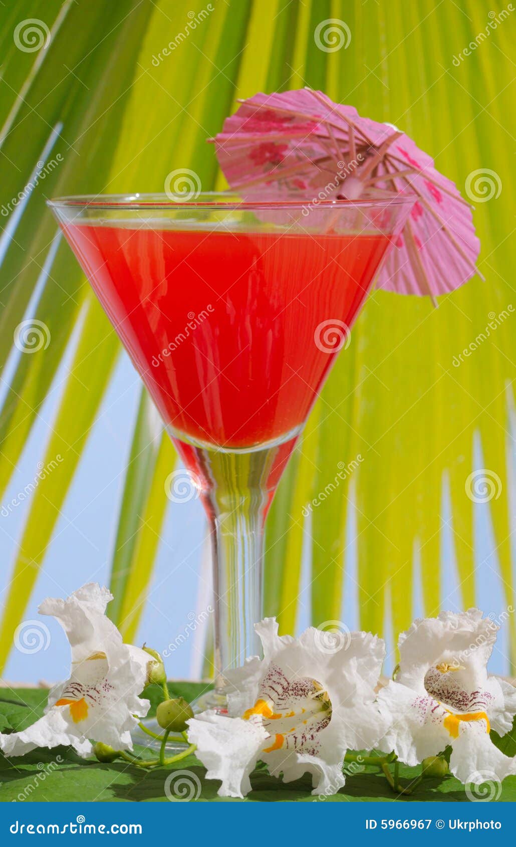 Cocktail stockbild. Bild von stab, himmel, trinken, ferien - 5966967