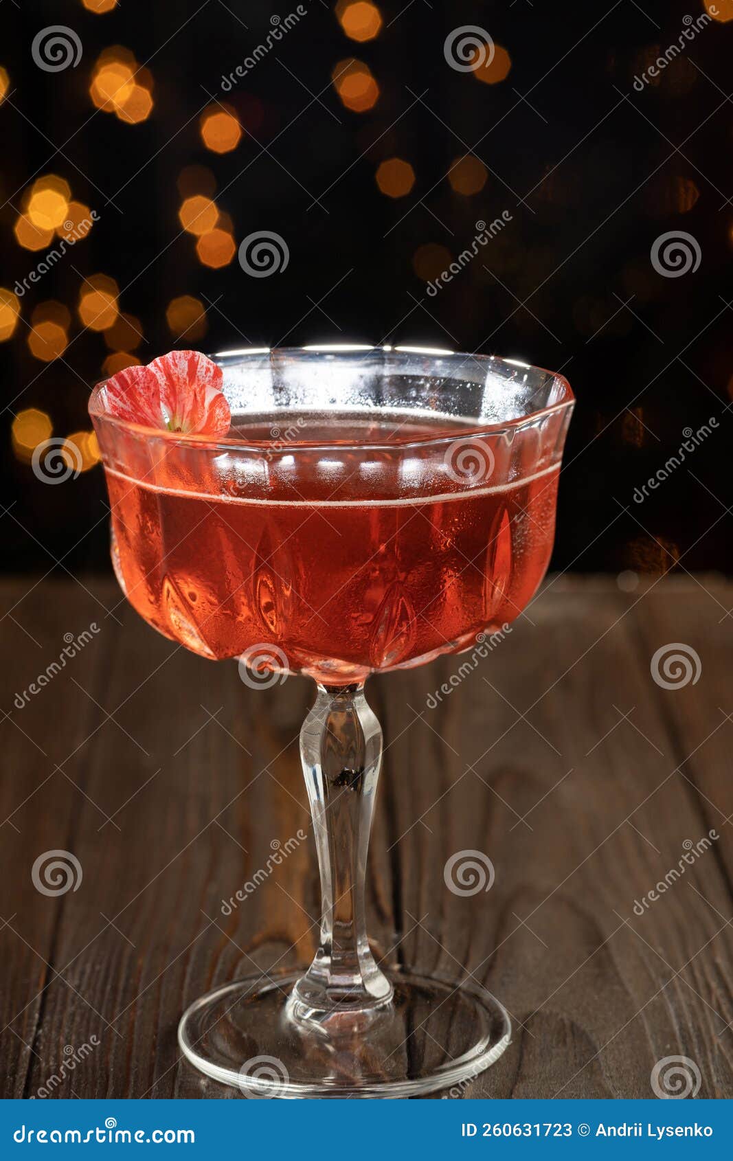 Cocktail De Negroni. Bebida Com Gin Campari Martini Rosso E Flor