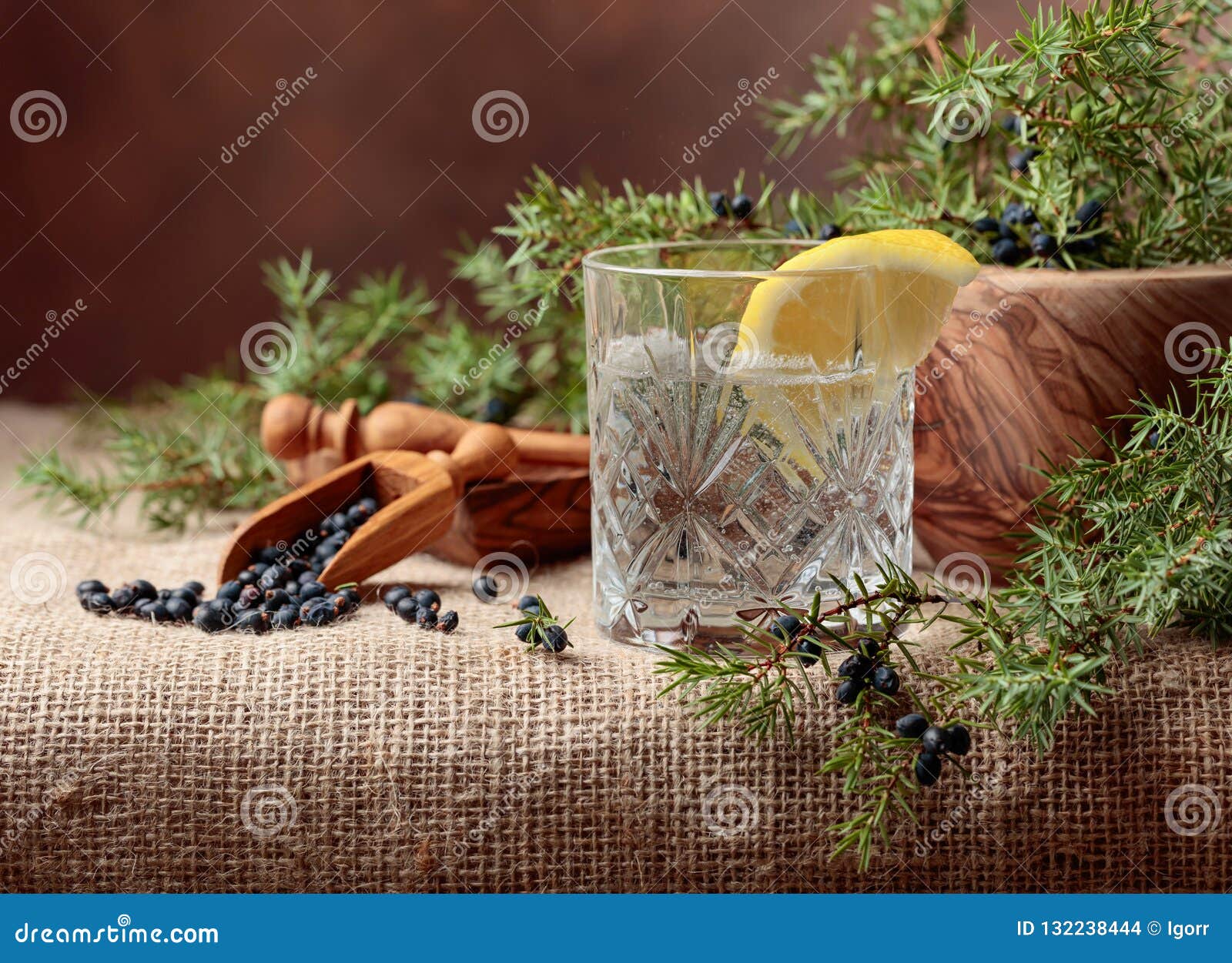 Cocktail Gin, Tonic with Lemon and a Branch of Juniper with Berr Stock