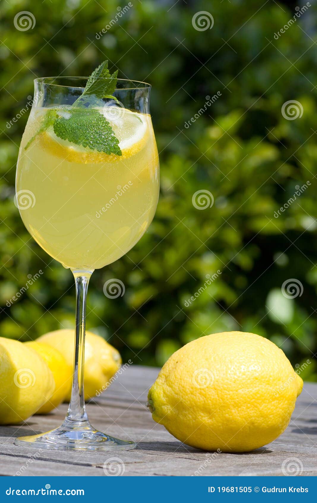 Cocktail with Lemons in the Garden Stock Image Image of herbs, tangy