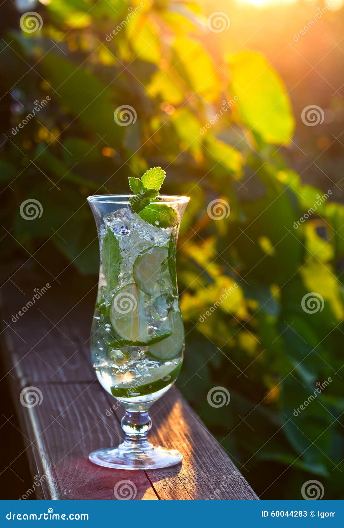 Cocktail with Lime and Peppermint Leaves Stock Image Image of food, green 60044283