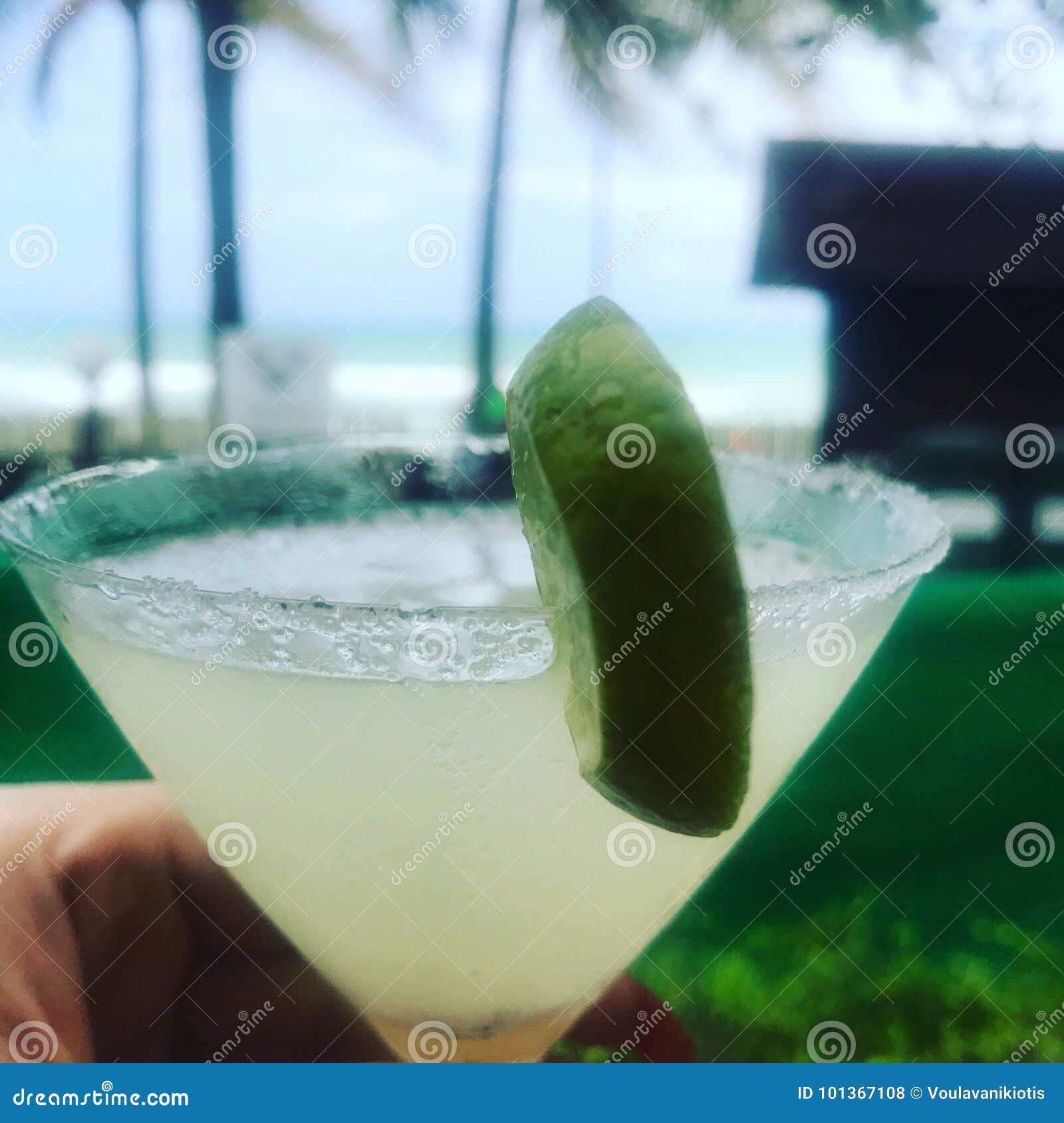 Cocktails Margarita Beach Tropical Fun Stock Photo Image of tropical