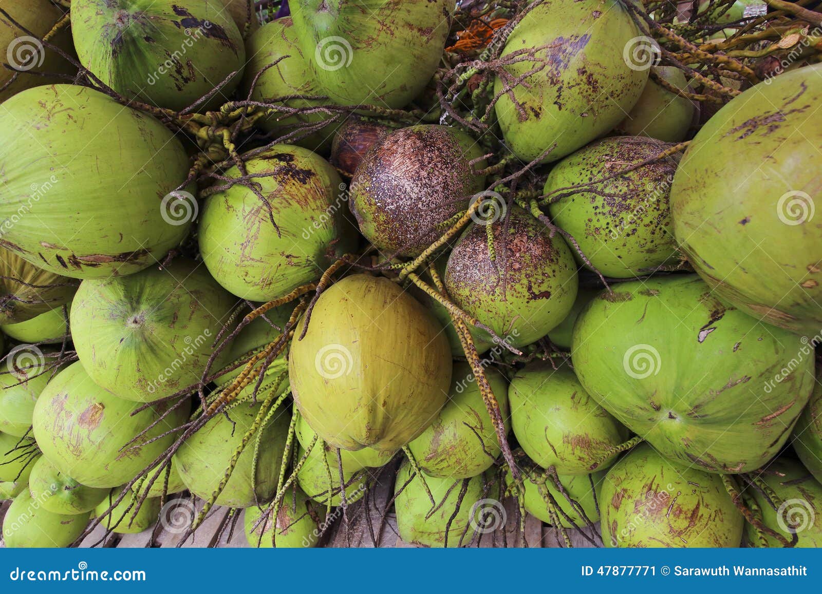 Bola de coco doce chamada naru em bangladesh