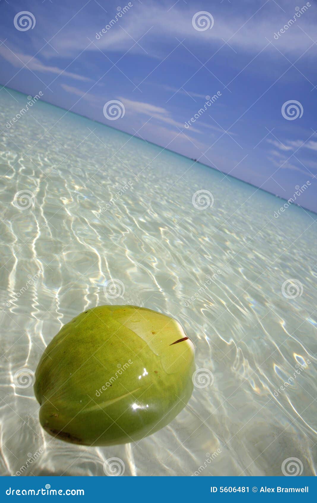 Coco flotante imagen de archivo. Imagen de colono, vacaciones - 5606481