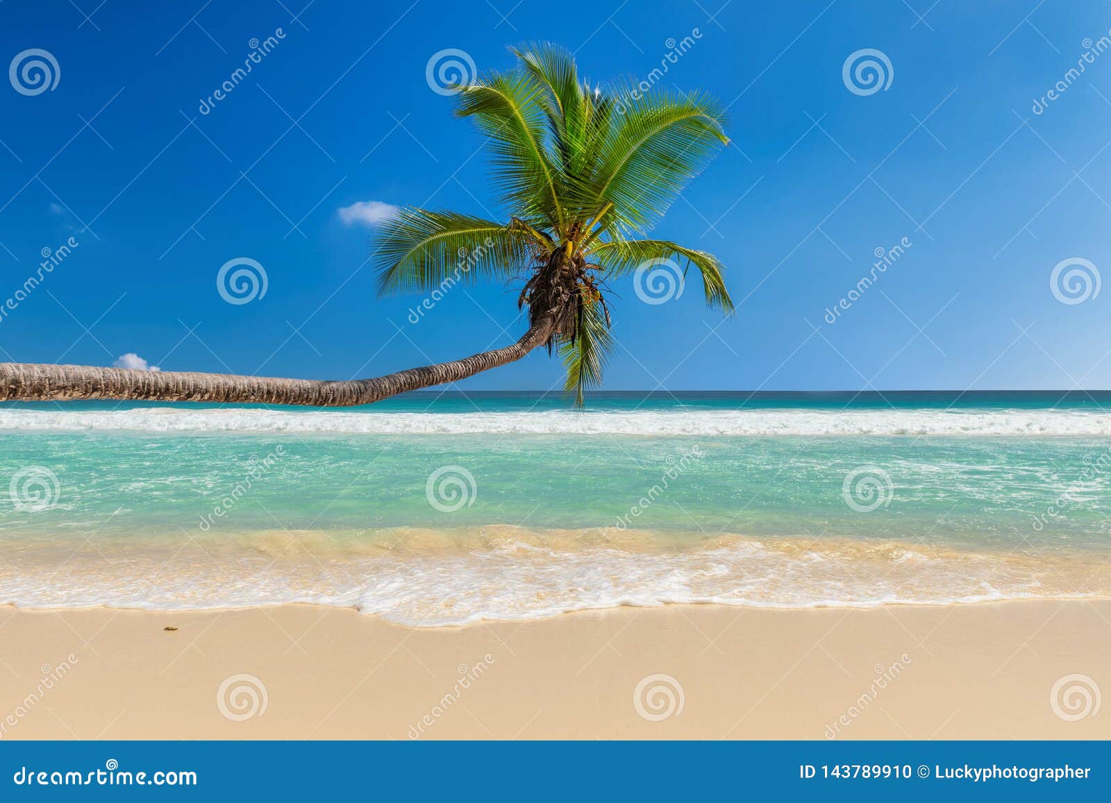 Coco Palm, White Sand and Turquoise Sea in Paradise Island. Stock Photo ...