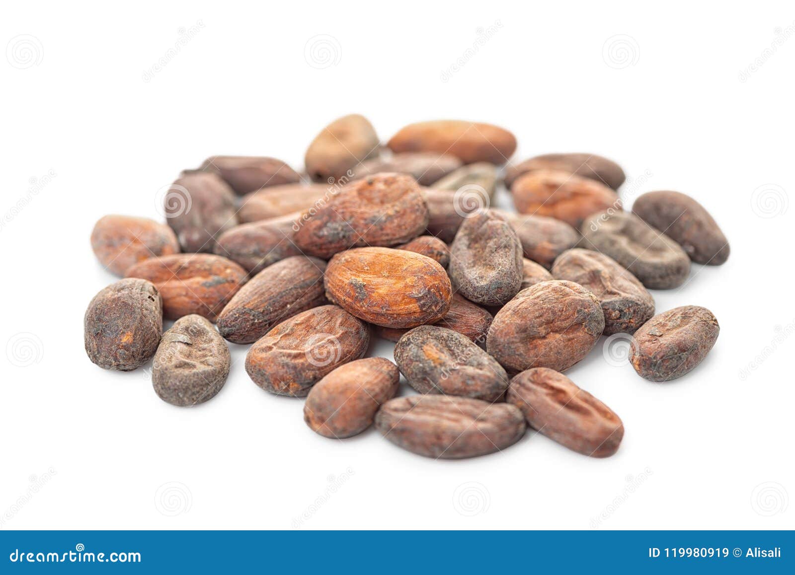 cocoa beans  on white backrgound, healthy eating