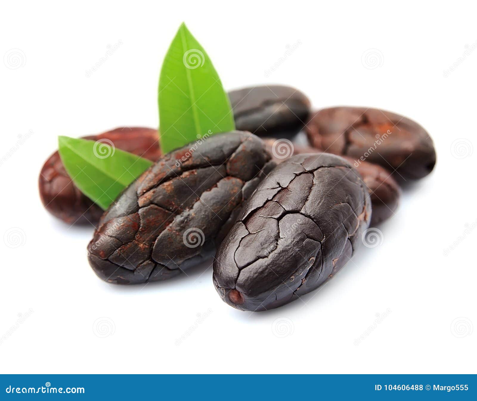 cocoa beans with leaves.