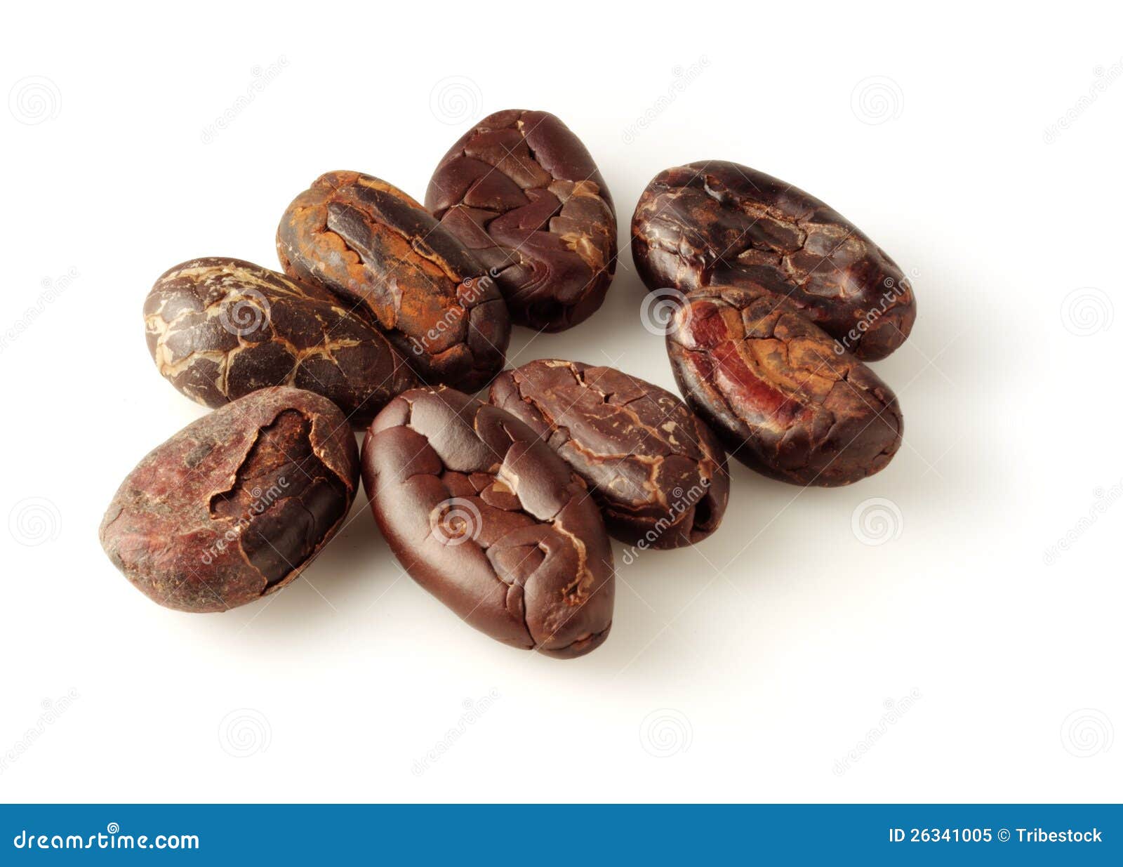 Cocoa beans on white stock image. Image of caffeine, fresh 26341005