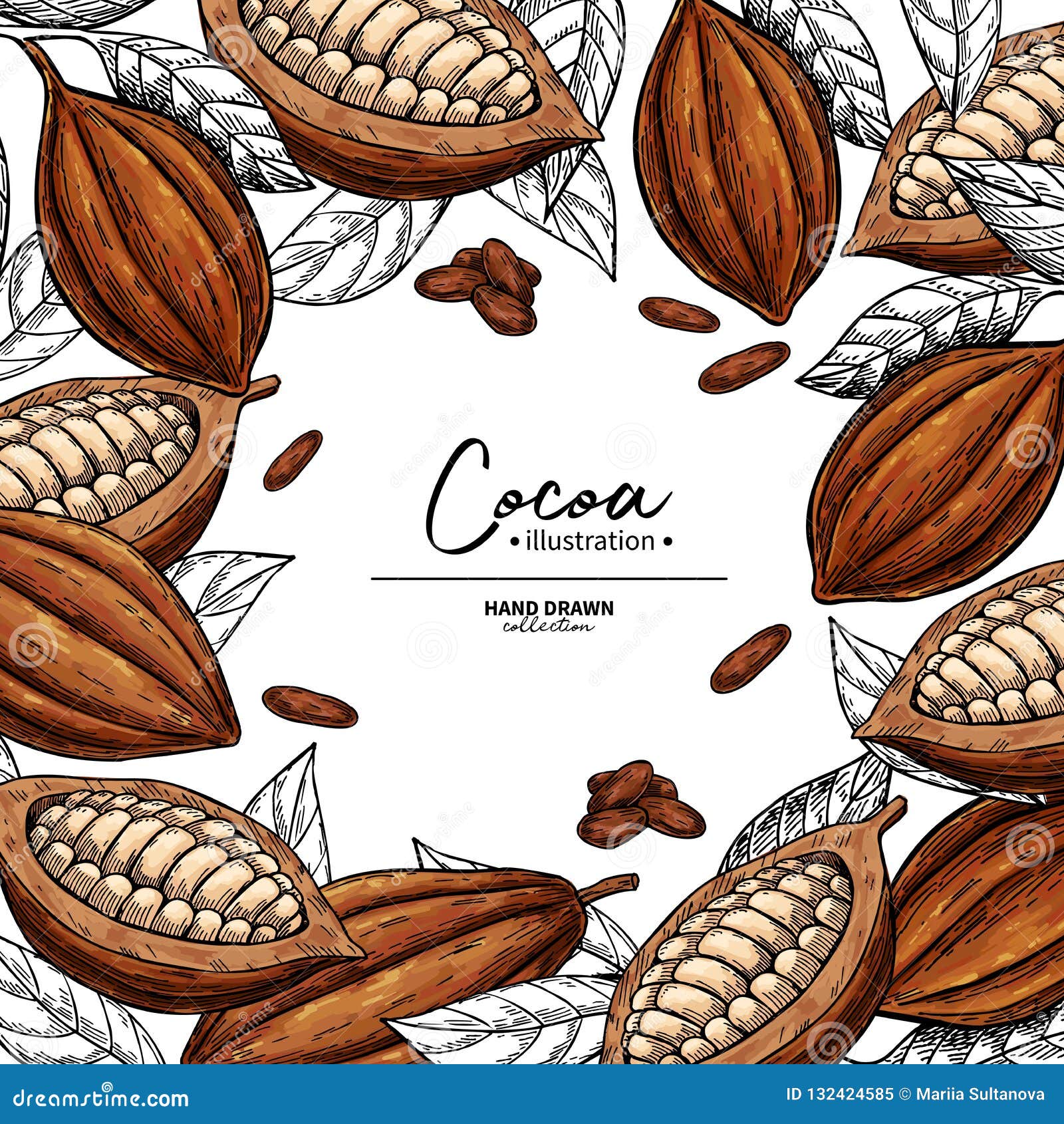 Cocoa Frame Vector Superfood Drawing Template Fruit Leaf And Bean