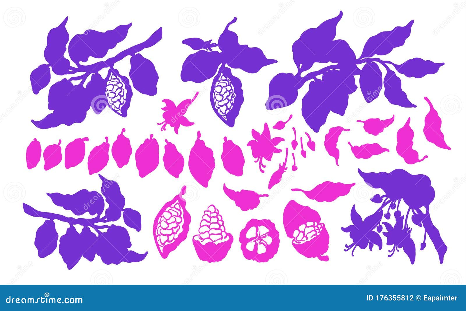 cocoa set.  silhouette. cacao truit outline