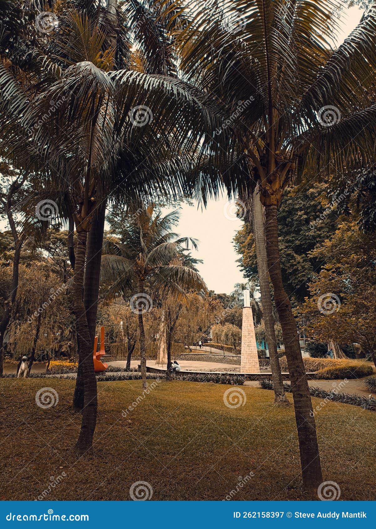 Coconat Tree, in South Jakarta Indonesia Stock Image Image of