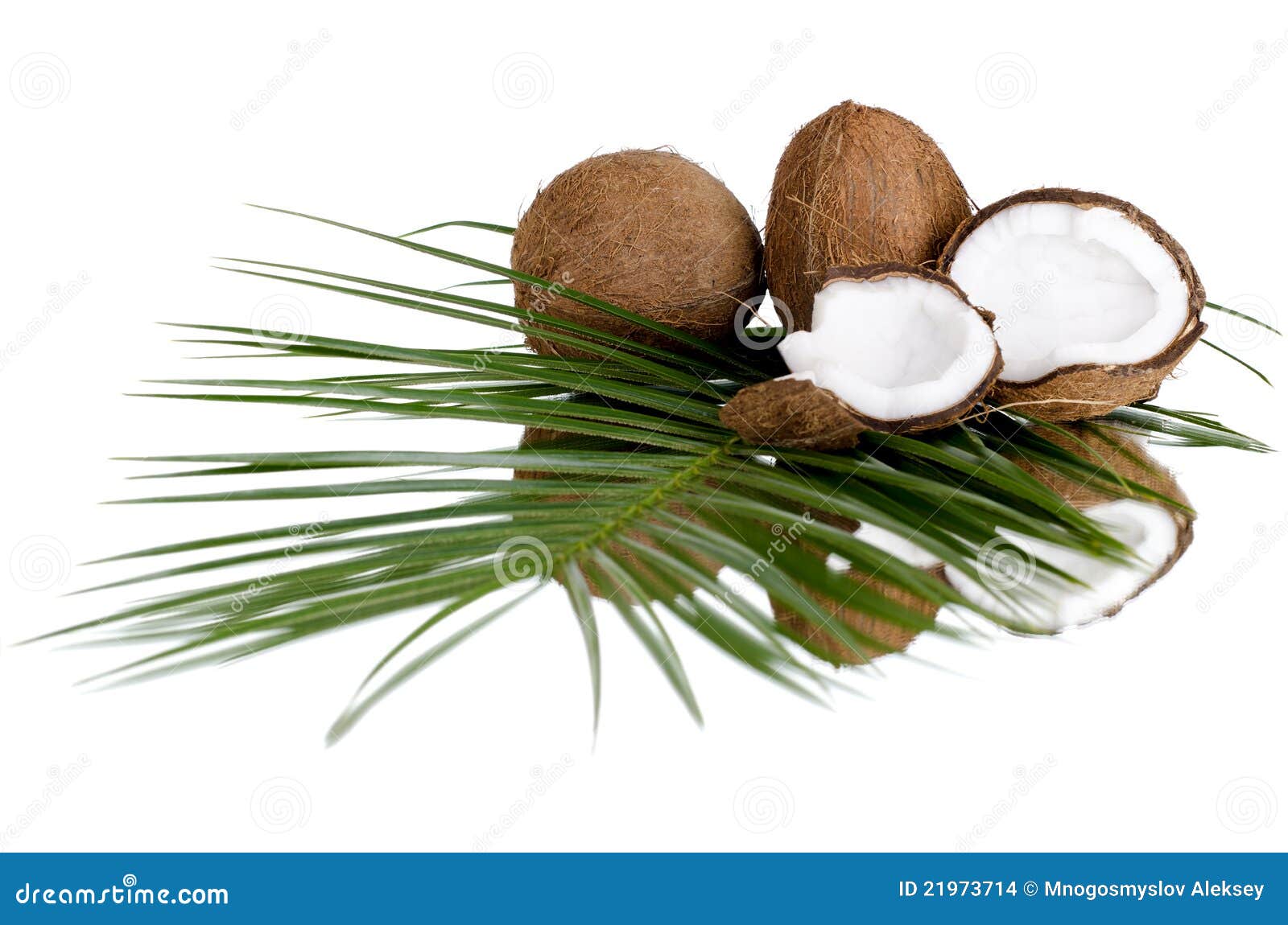 coconut