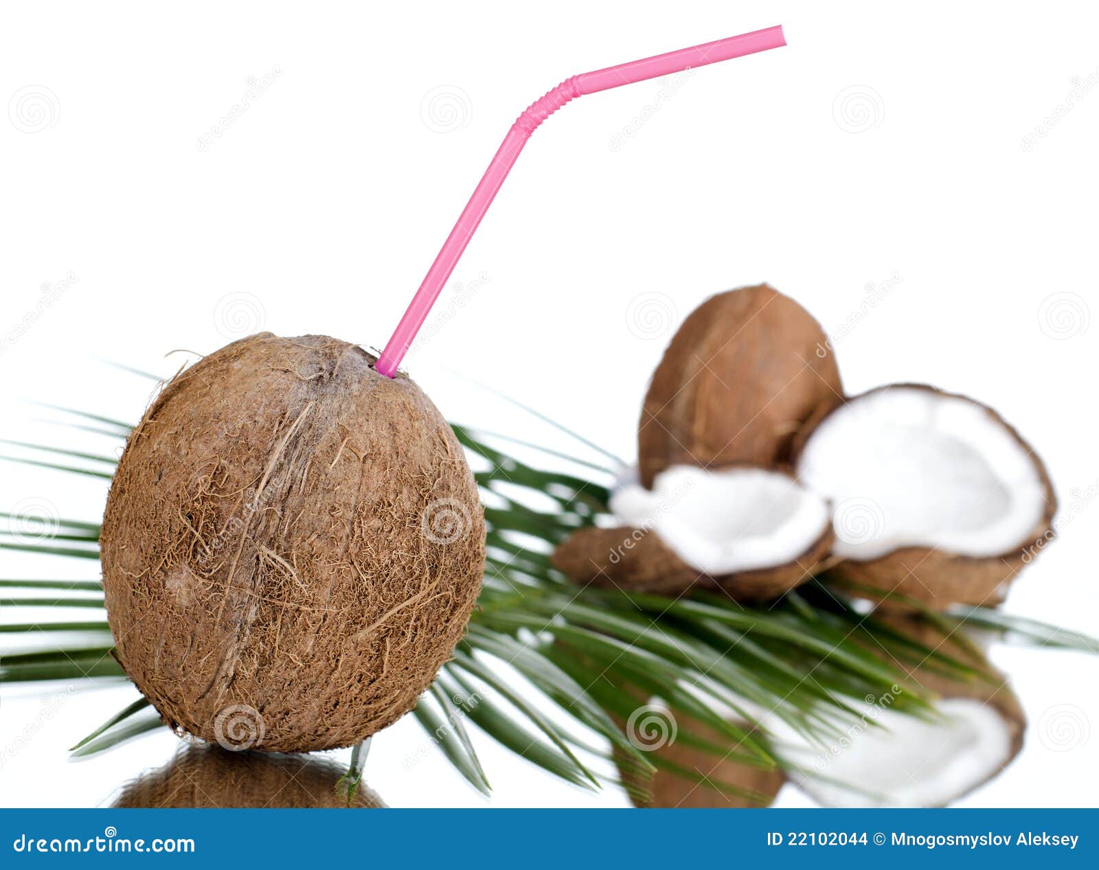 coconut