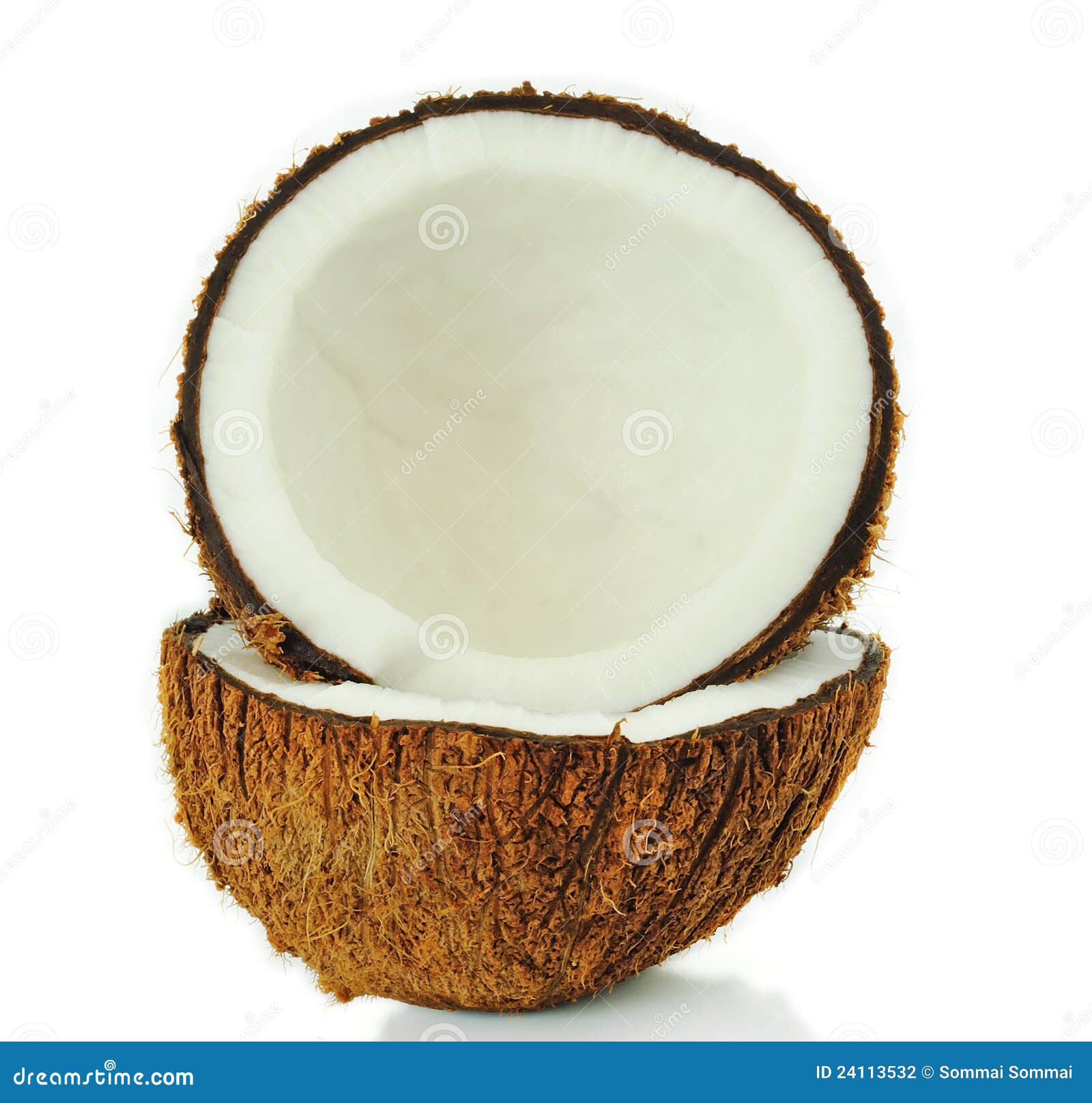 coconut kitty coconut kitty