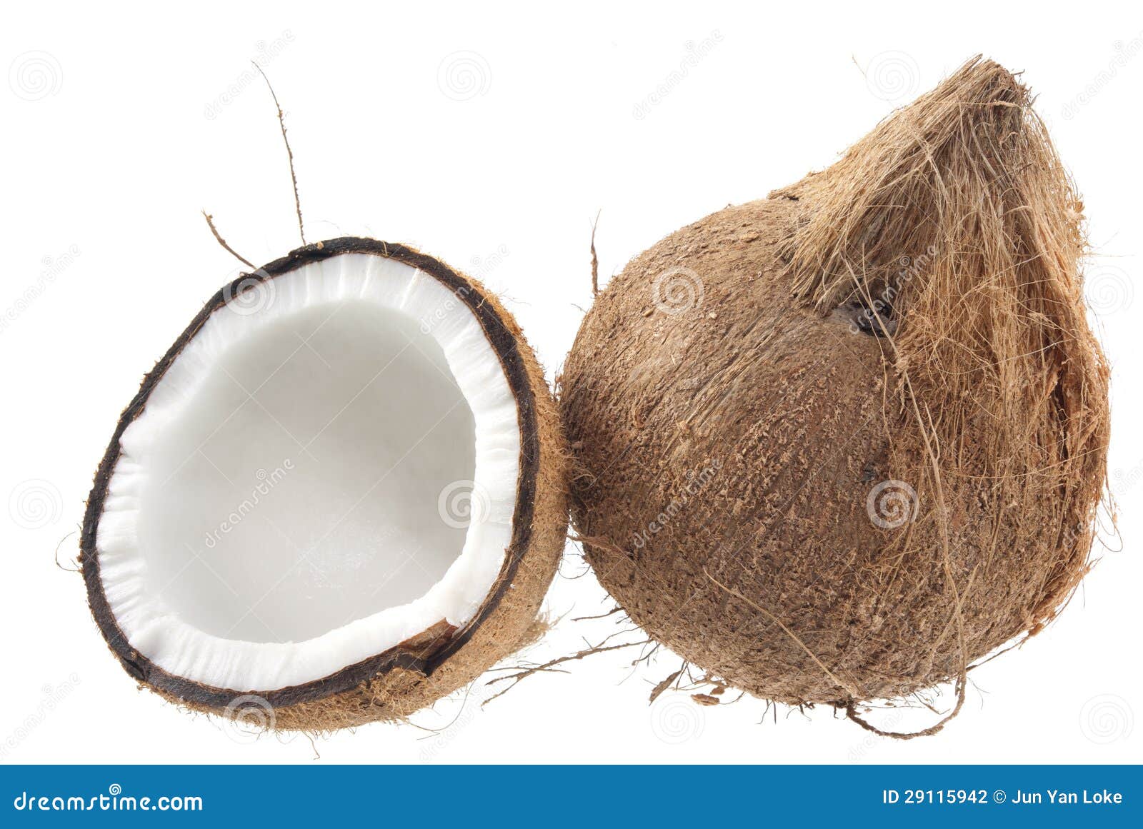 Coconut stock photo. Image of coir, hawaiian, exotic 29115942