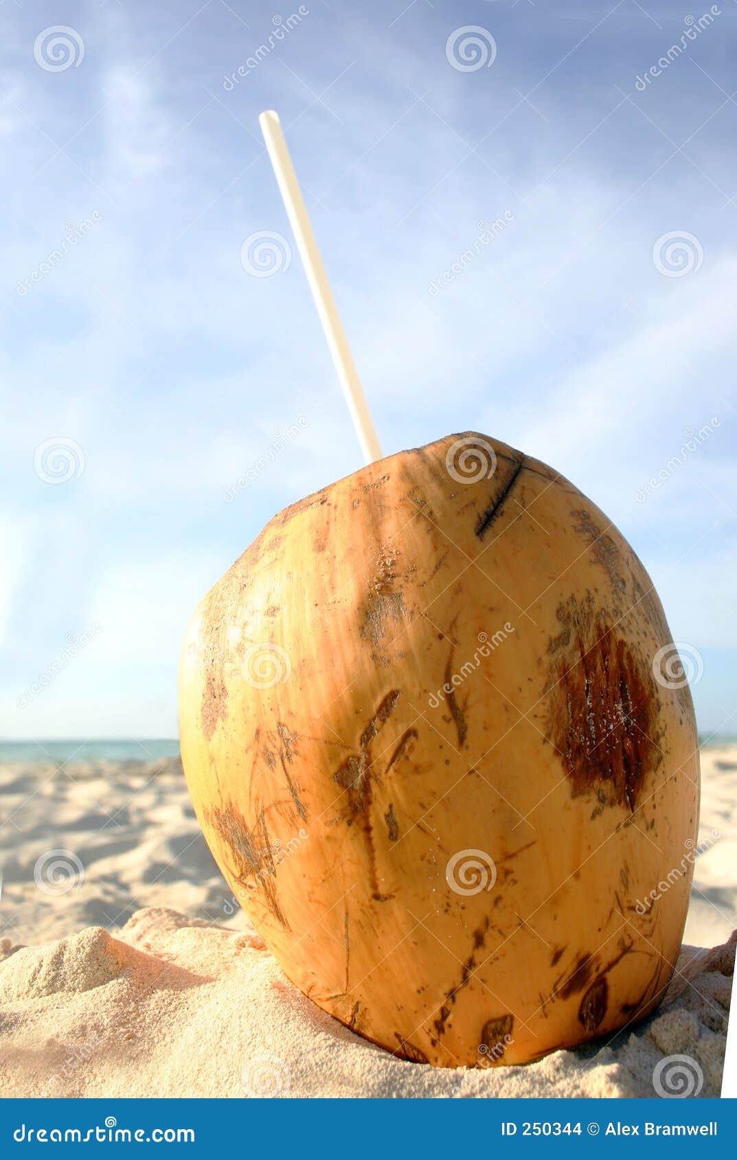Coconut Beach Drink stock photo. Image of refresh, fruits 250344