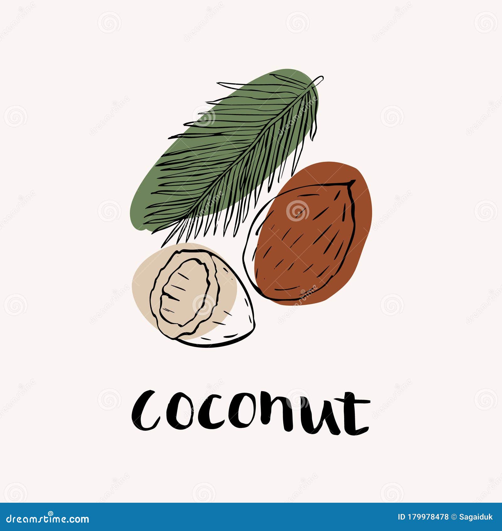Coconut Black and White Vector Hand Draw Sketch with Colored Spots ...