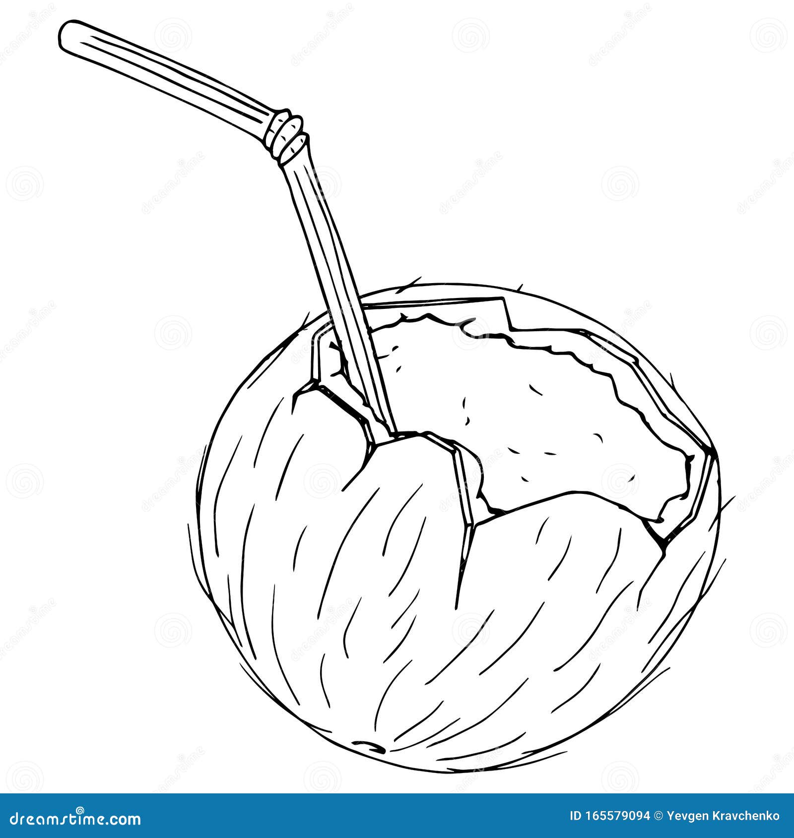 Coconut with a Cocktail Straw Icon. Vector Illustration of a Broken ...