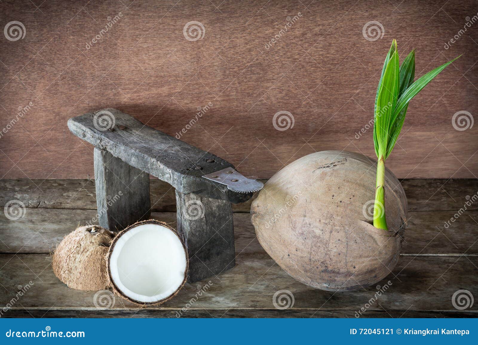 Coconut and coconut grater stock image. Image of fresh 72045121