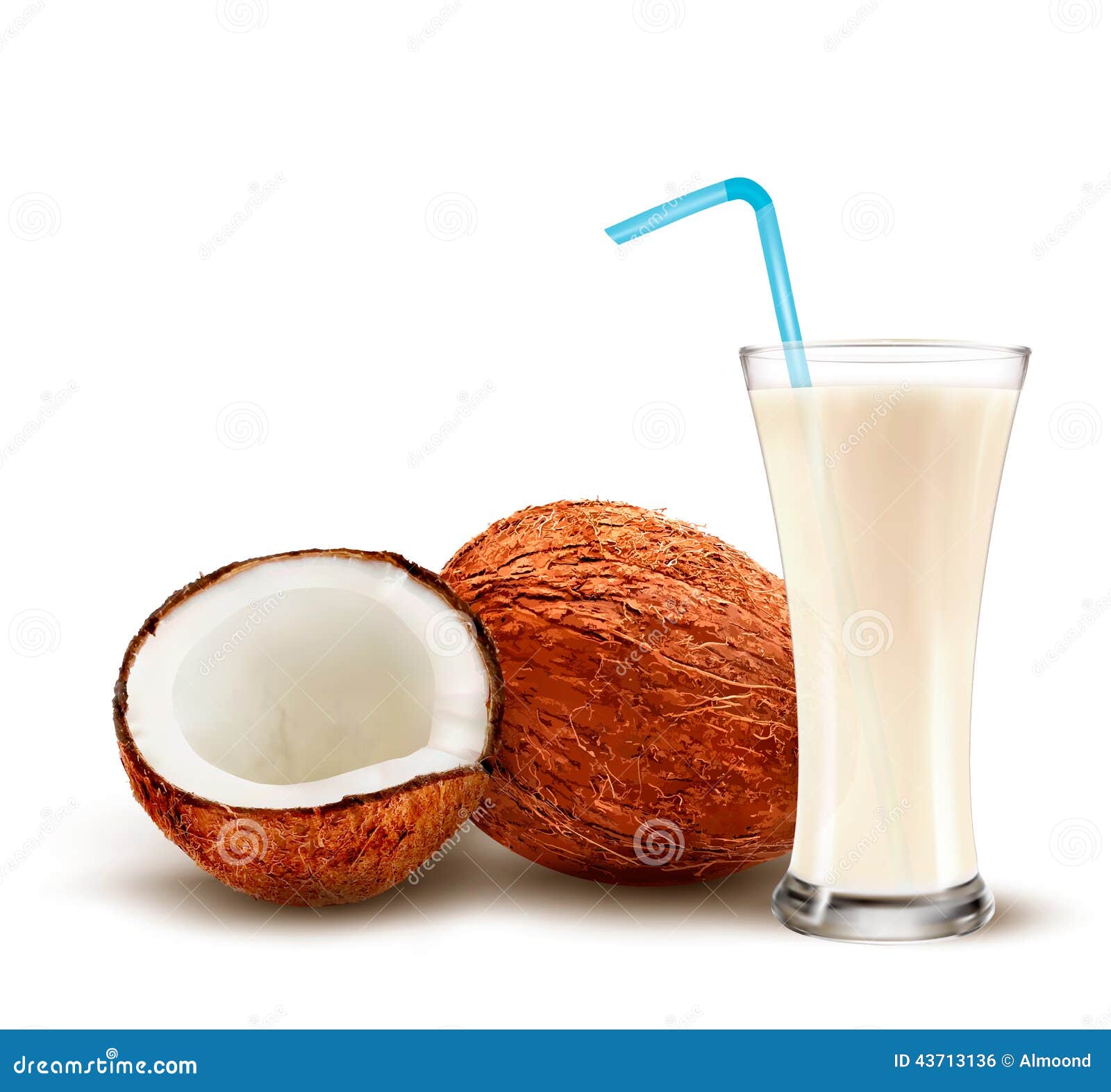 Coconut with a Coconut Milk Cocktail. Stock Vector Illustration of