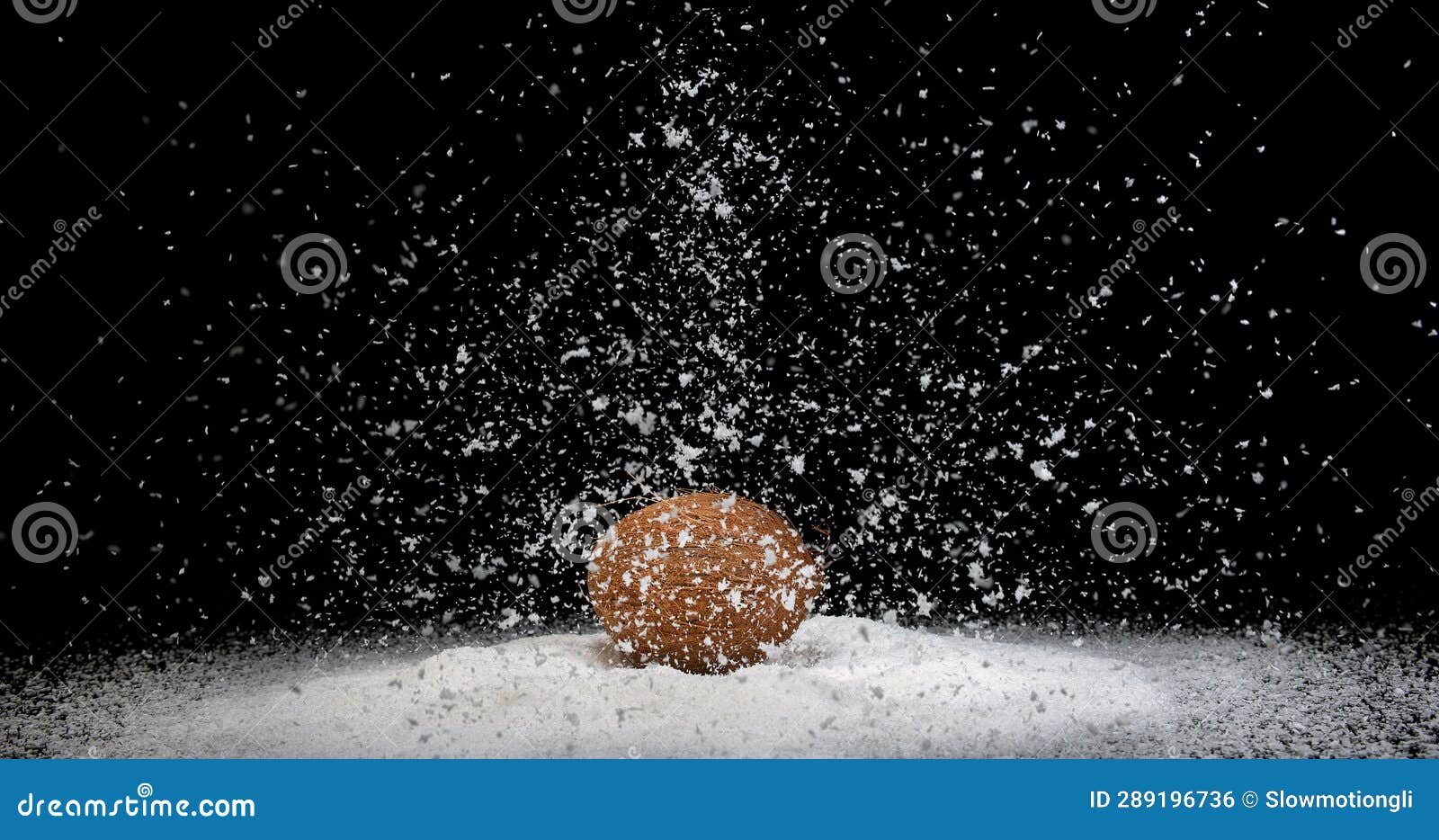 Coconut, Cocos Nucifera, Fruit and Powder Exploding Against Black