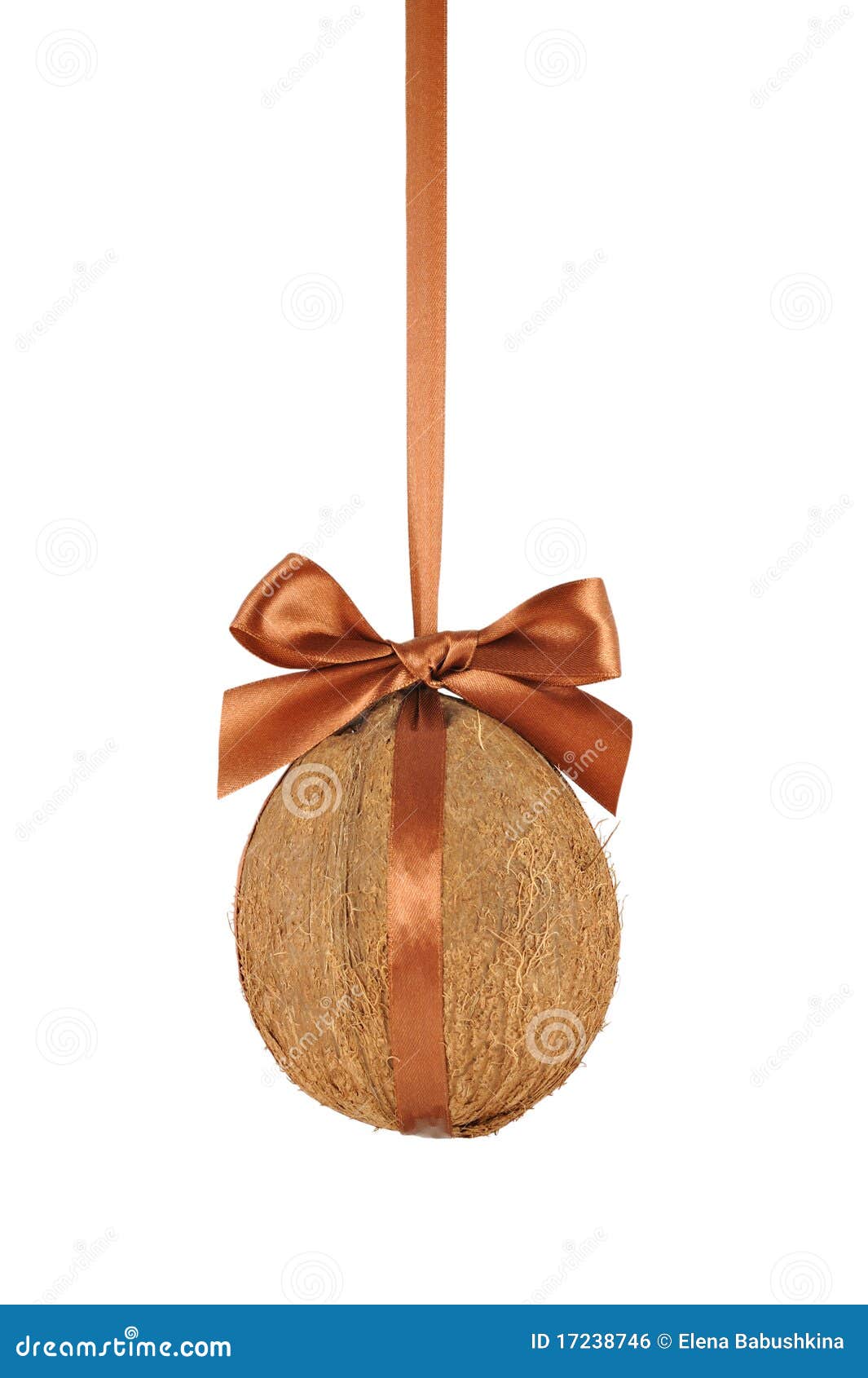 32,237 Coconut Decoration Stock Photos - Free & Royalty-Free Stock Photos  from Dreamstime