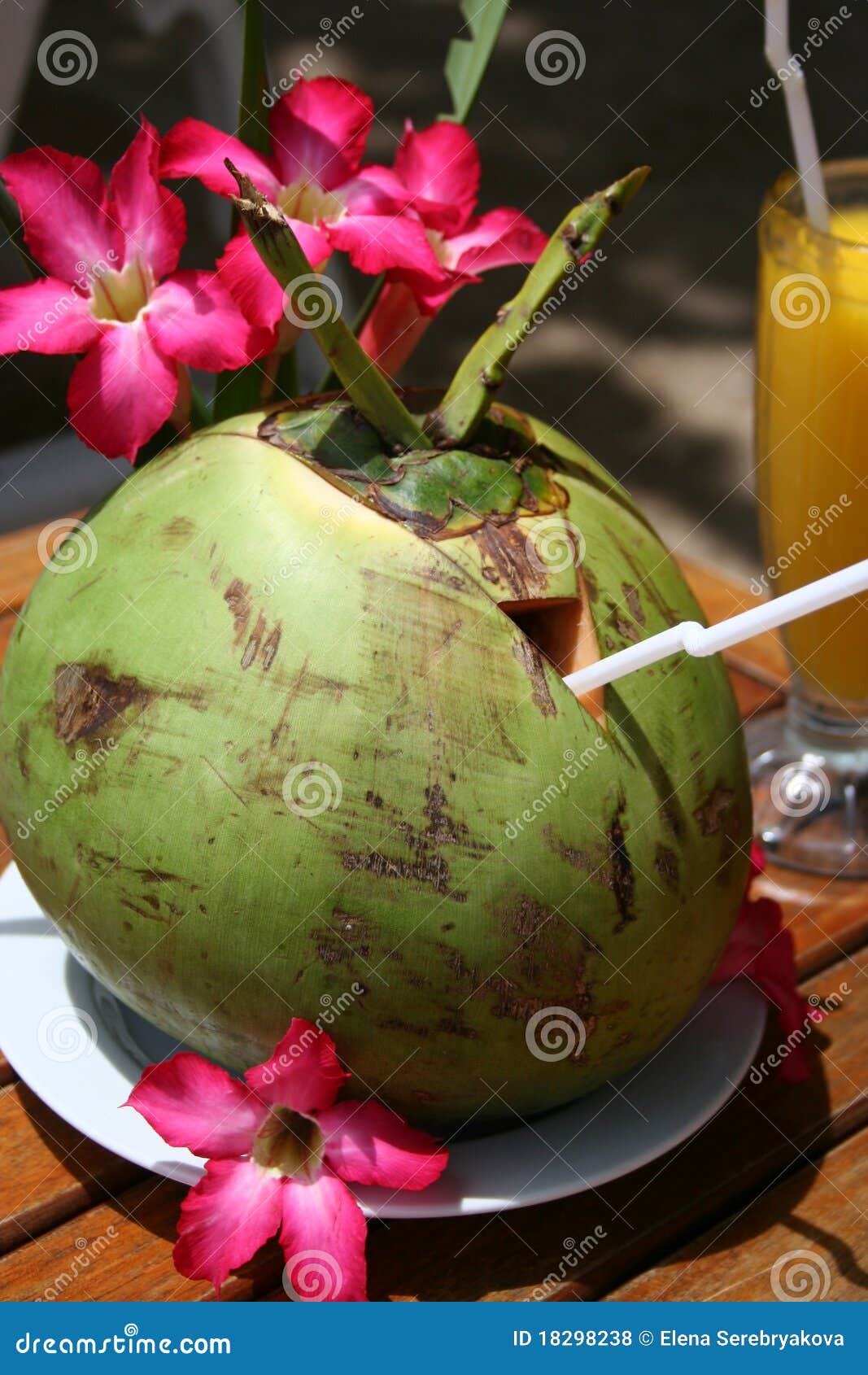 Coconut drink stock photo. Image of tropical, fresh, holiday 18298238
