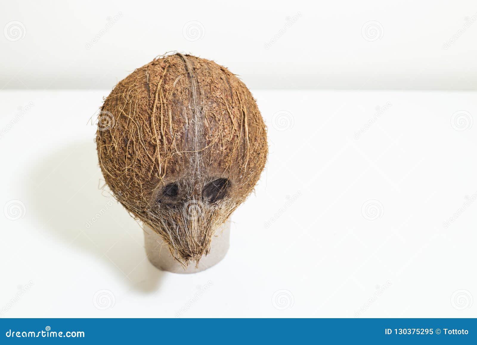 Coconut Expression Face Portraiture Stock Image Image of piece, portrait 130375295