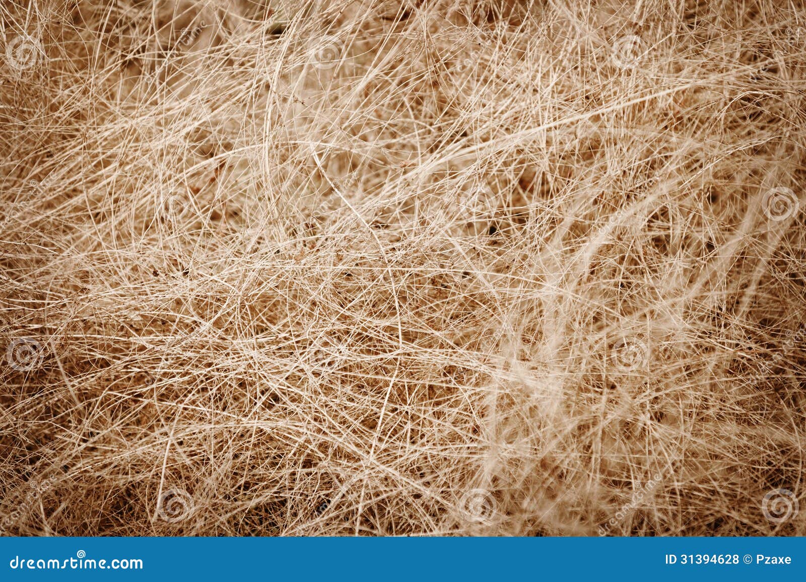 Coconut Fiber Material For Making Ropes And Mats Royalty Free Stock