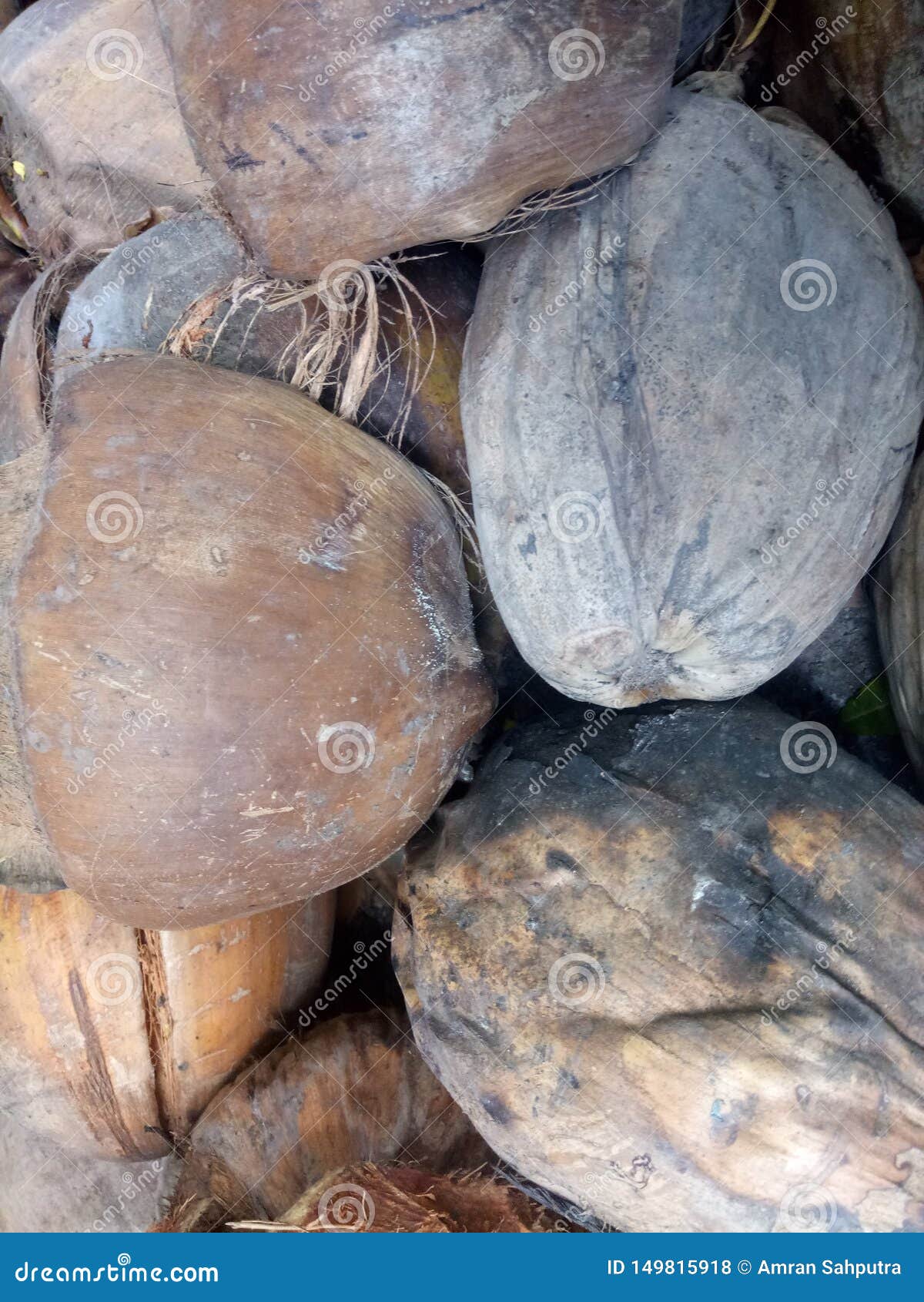 coconut fiber