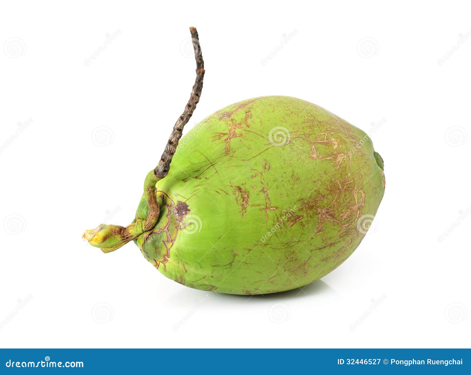 Coconut Fruit stock image. Image of nature, vegetables - 32446527