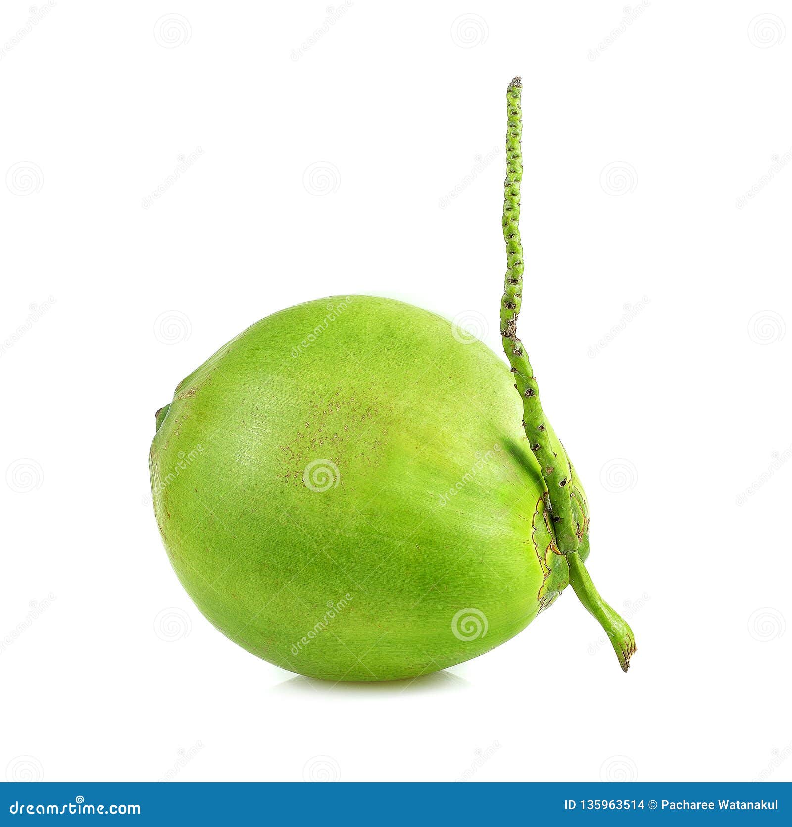 Coconut Fruits, Green Coconut on White Background Stock Photo - Image ...