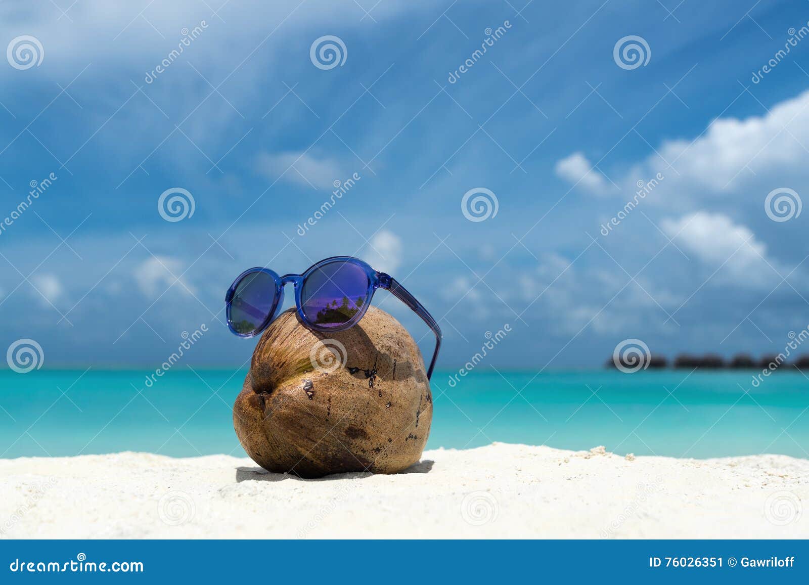 Coconut Funny Wearing Sunglasses on the Beach Stock Image Image of
