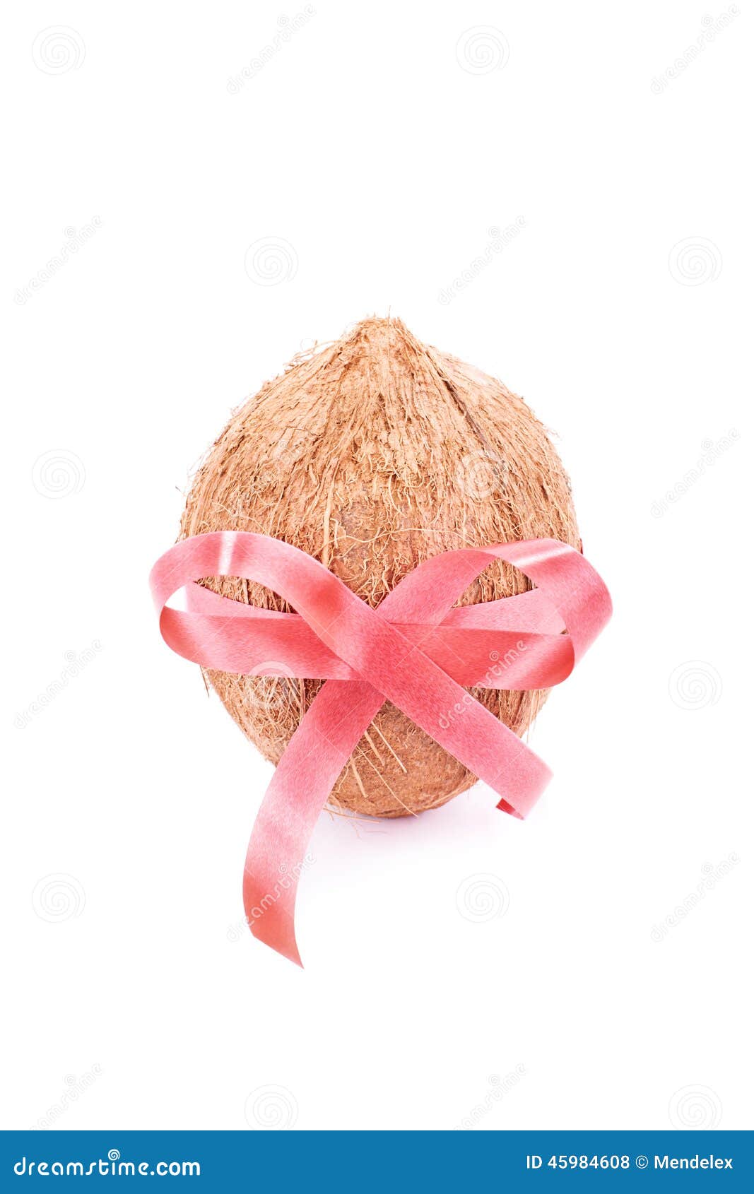 Coconut gift stock photo. Image of fruit, fresh, food 45984608
