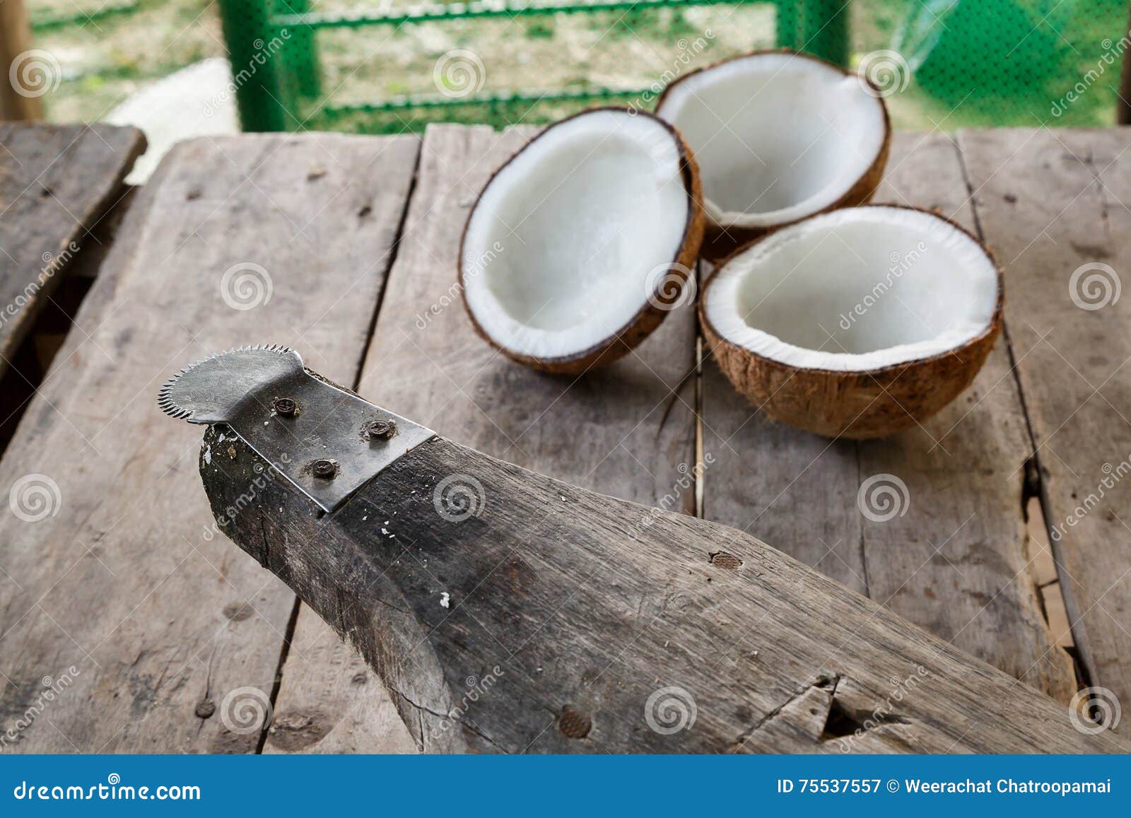 Coconut grater and coconut stock image. Image of flakes 75537557